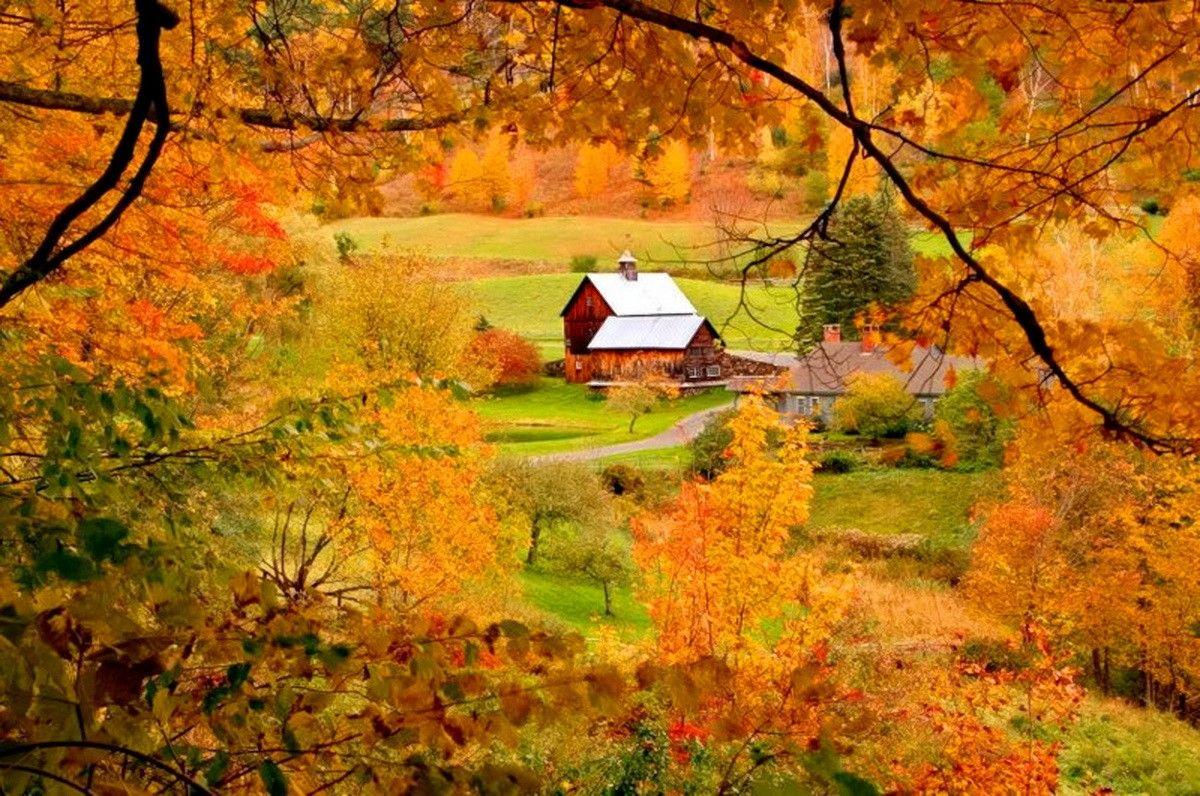 Mountain Fall Foliage Wallpapers - Top Free Mountain Fall Foliage ...