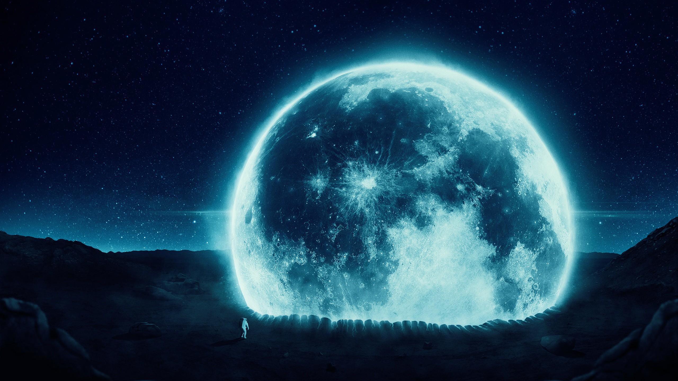 2560x1440 Man On The Moon desktop PC and Mac wallpaper