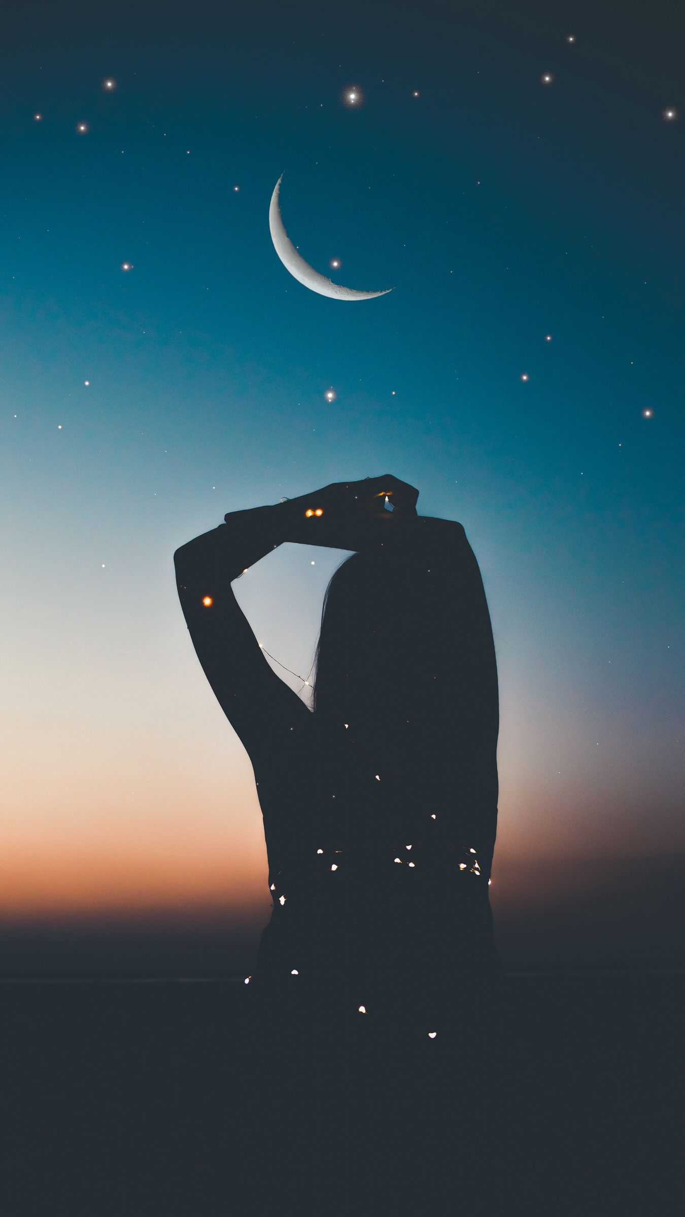 1350x2400 Man On The Moon 3 Wallpaper
