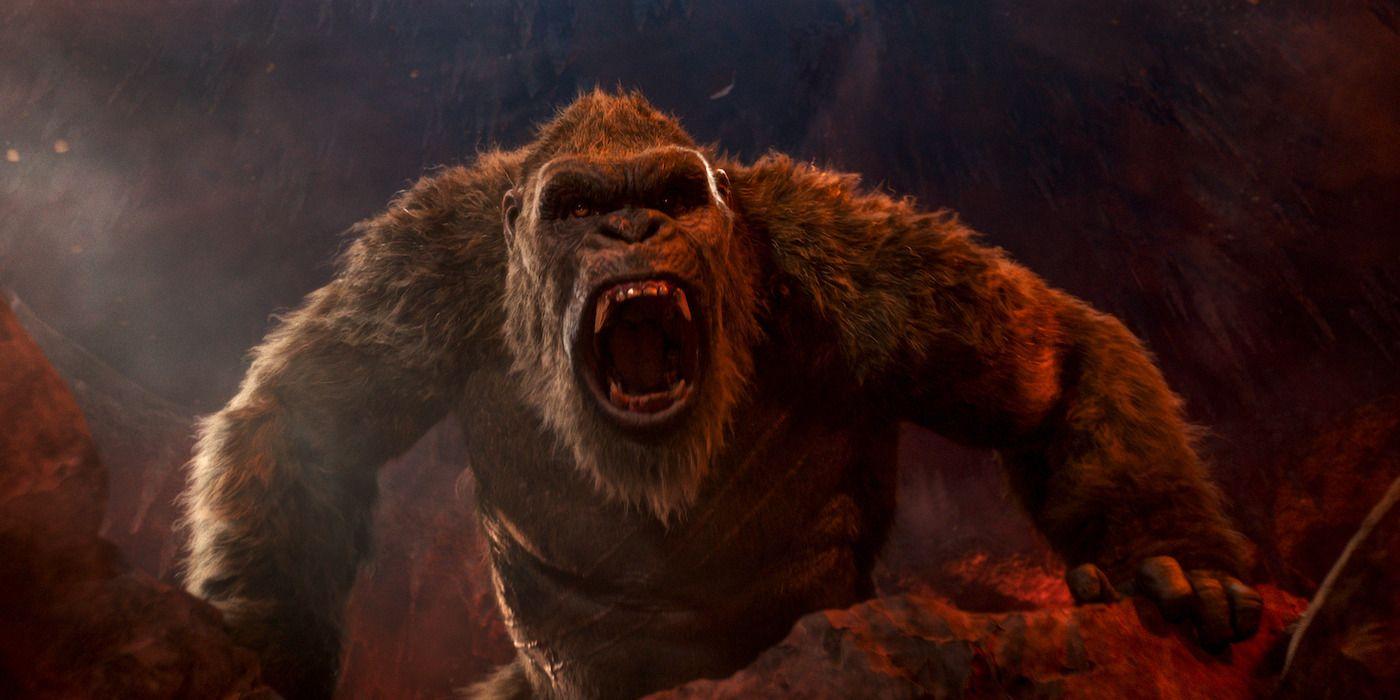 1400x700 Godzilla vs. Kong: New Image Highlight Massive Battle and Stars