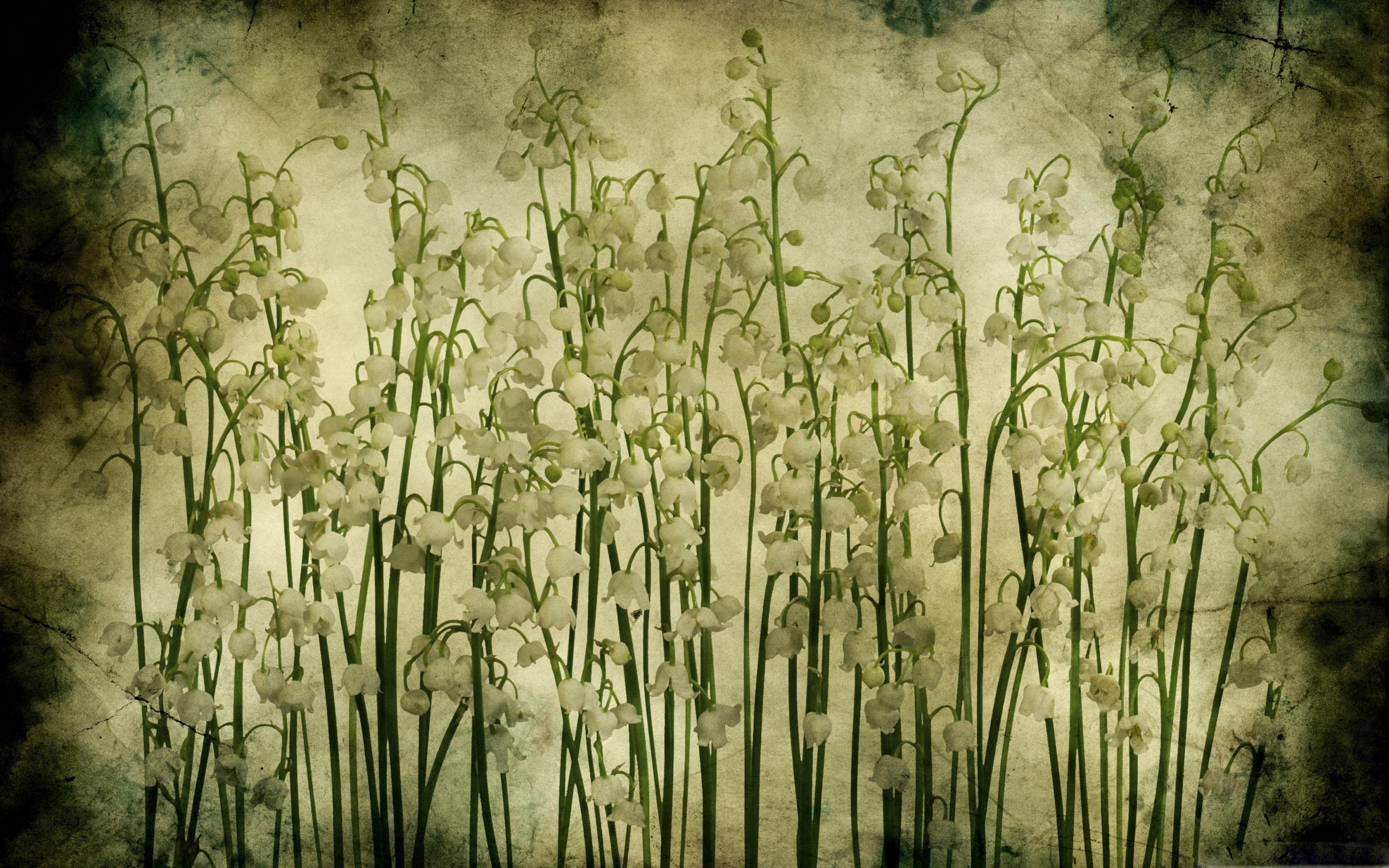 2880x1800 Lily Of The Valley Vintage Texture MacBook Air Wallpaper Download