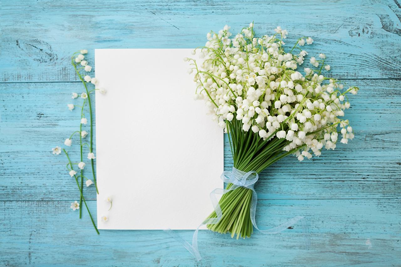 1280x853 Desktop Wallpaper Sheet of paper Flowers Lilies of the valley
