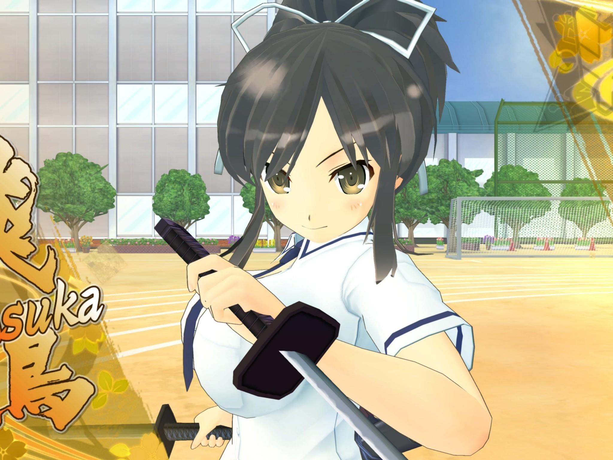 2048x1536 Senran Kagura Shinovi Versus, Asuka, Anime Style Games