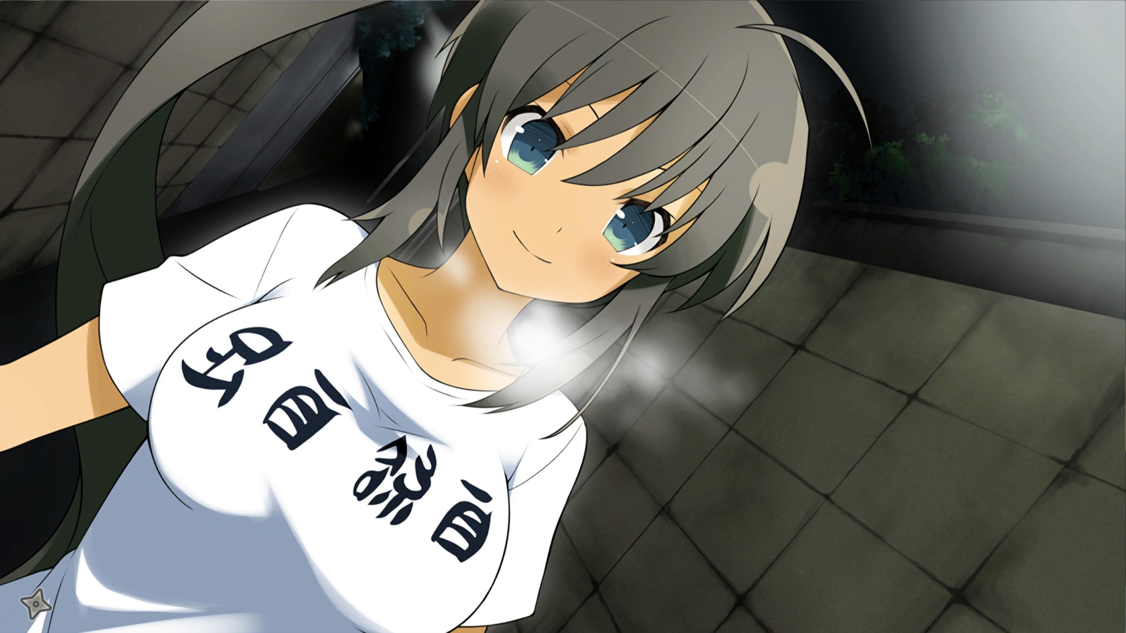 3840x2160 Wallpaper Senran Kagura Shinovi Versus, Anime Style Games:3840x2160
