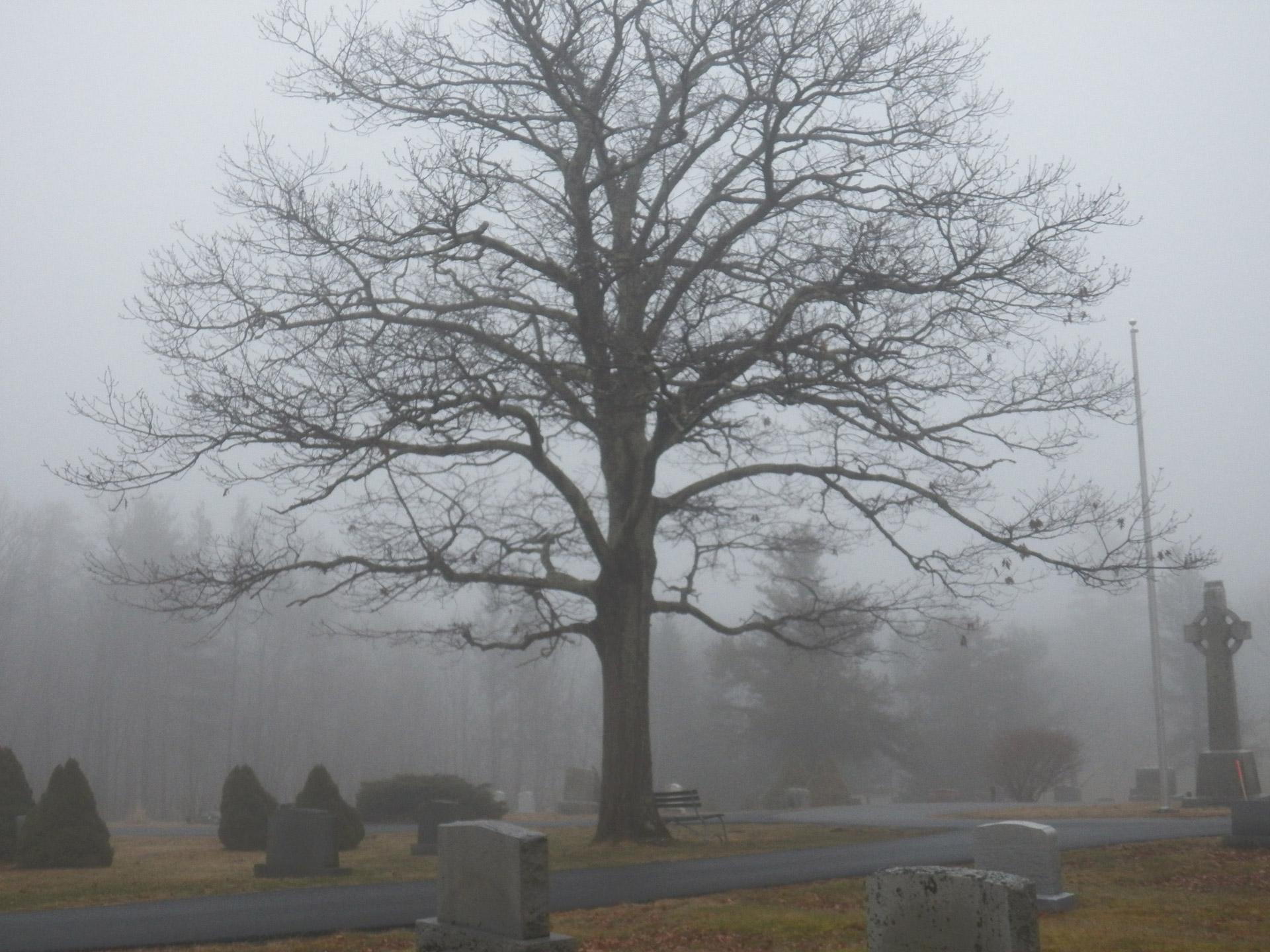 1920x1440 Haunted Graveyard 2 Free Domain Picture