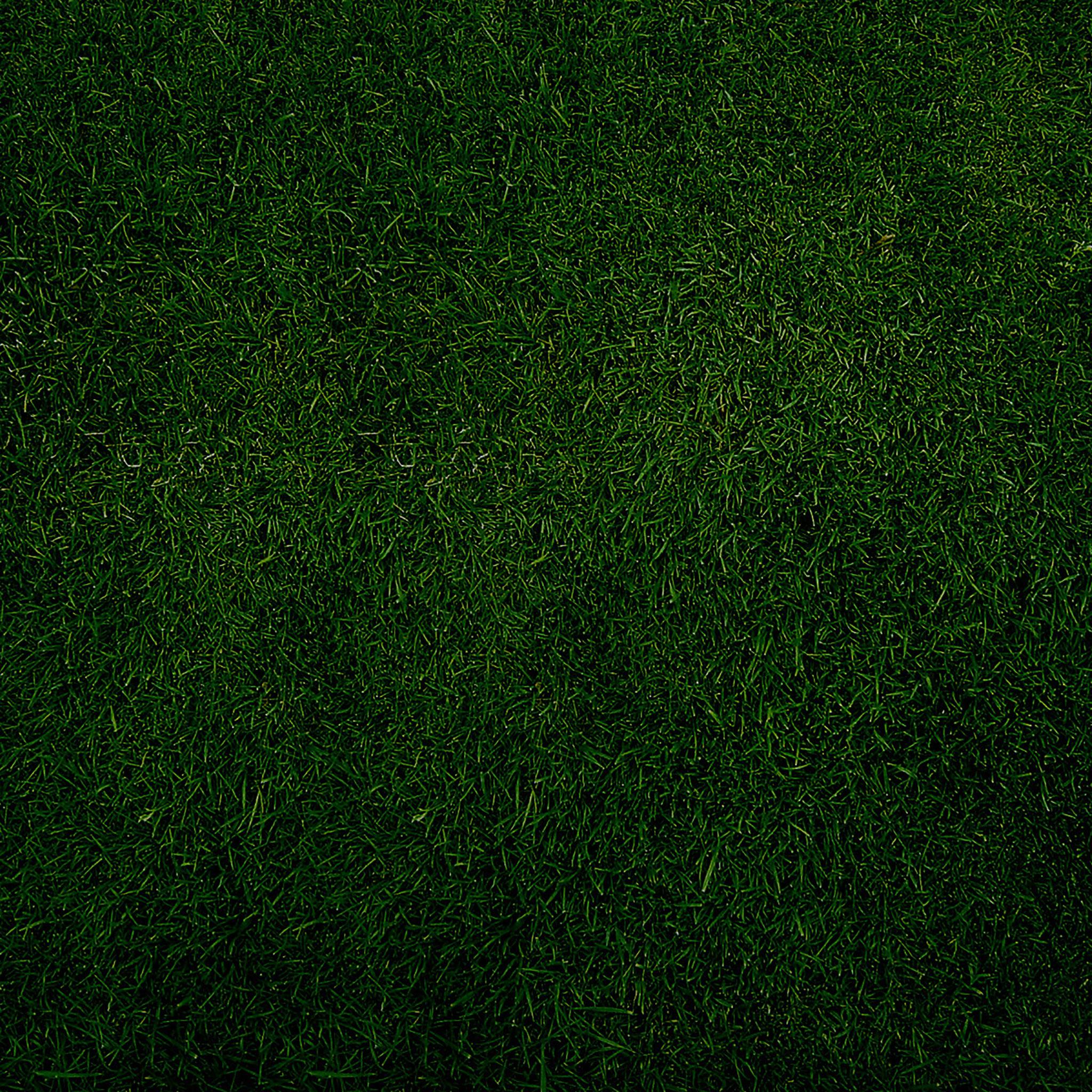 2048x2048 HD Green iPad Wallpaper