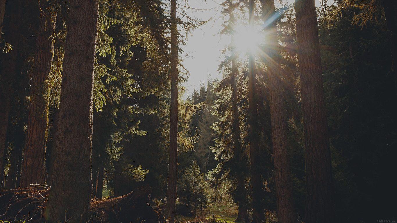 1366x768 Aesthetic Nature Wallpaper Laptop