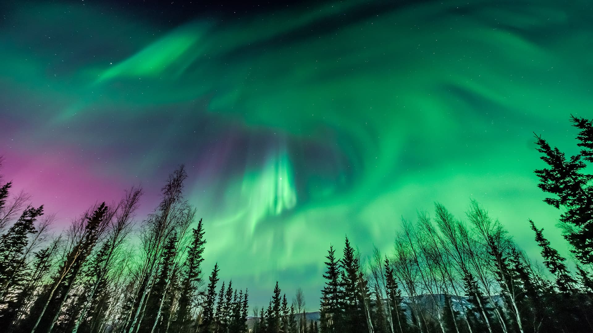1920x1080 They can be seen from space and 5 other things you didn't know about the northern lights. Nature of Things