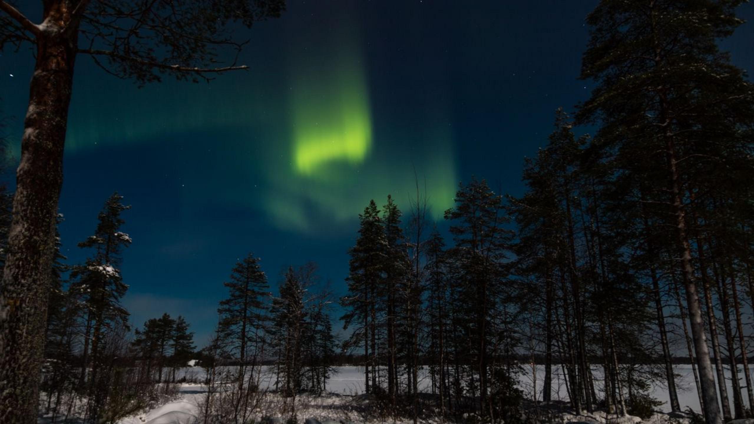 2560x1440 Aurora Borealis Magic of Sky HD wallpaper