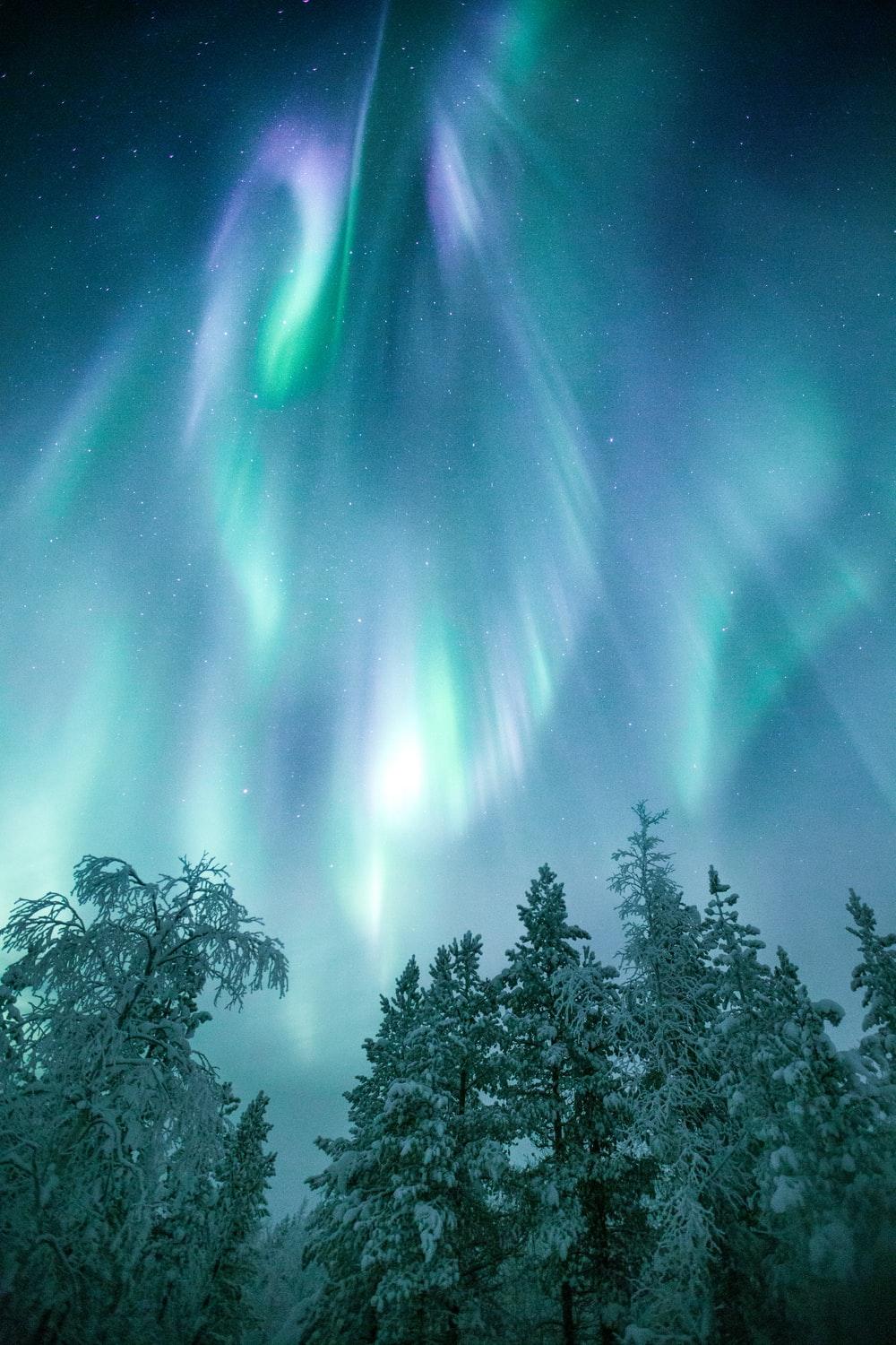 1000x1500 Aurora Picture [HD]. Download Free Image