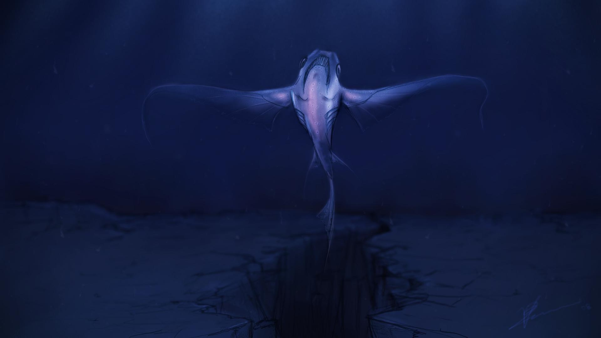 1920x1080 Free download Deep Sea Fishing Wallpaper [1920x1080] for your Desktop, Mobile & Tablet. Explore Deep Sea Diving Wallpaper. Deep Sea Diving Wallpaper, Deep Sea Wallpaper, Deep Sea Wallpaper