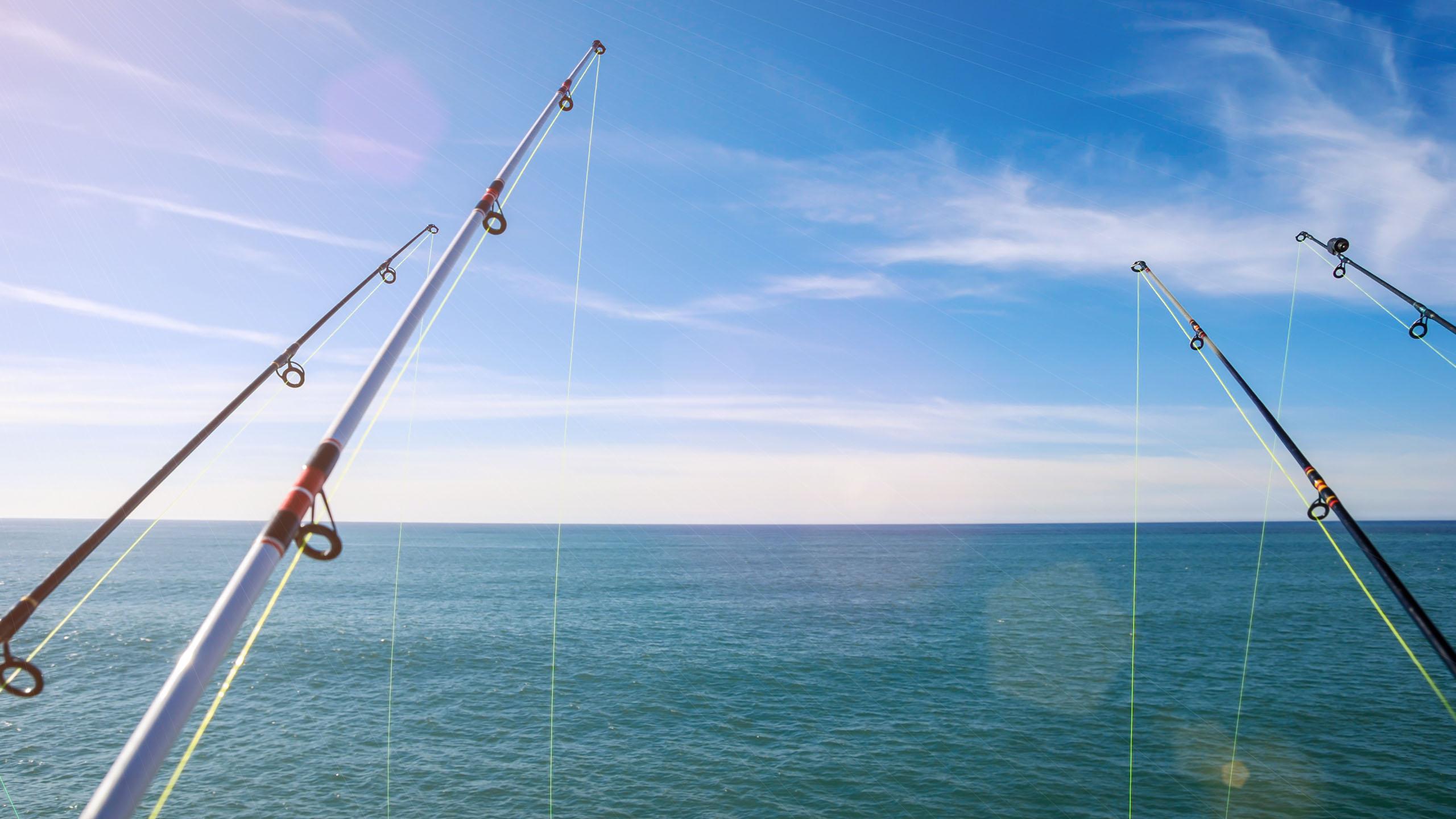 2560x1440 Deep Sea Fishing Charter. Abercrombie & Kent