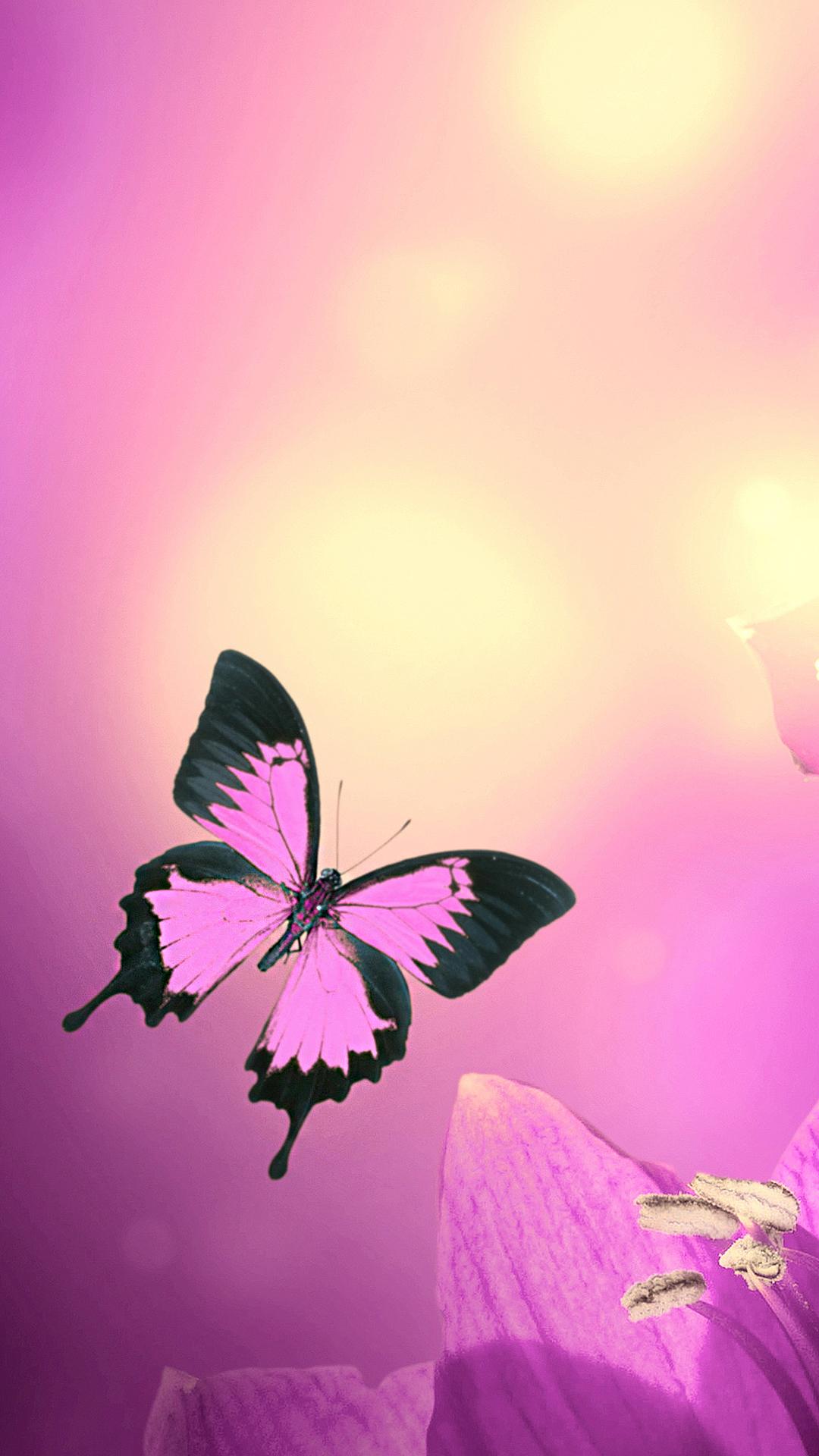 1080x1920 Pink Butterfly iPhone Wallpaper HD