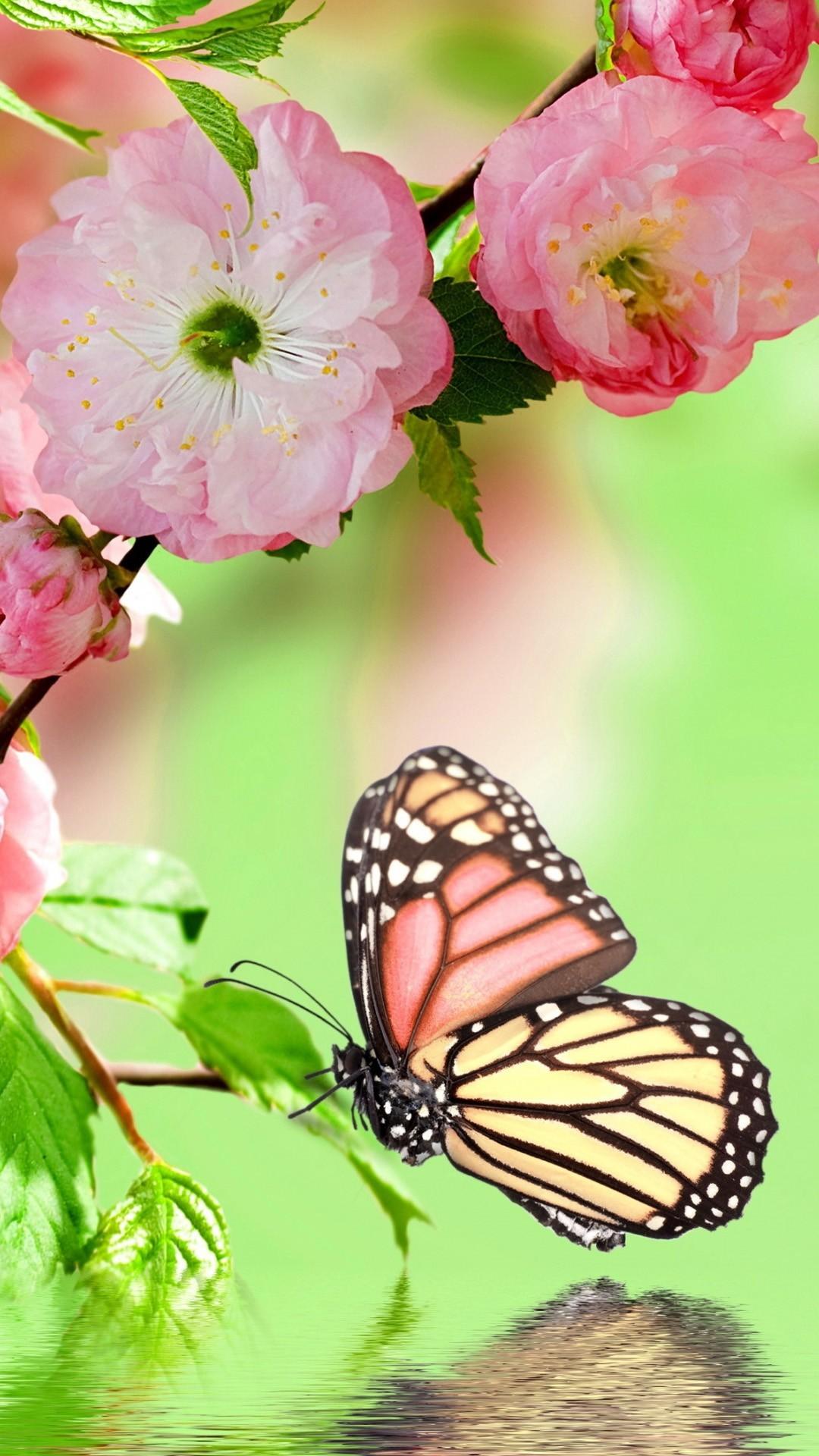 1080x1920 Wallpaper iPhone Pink Butterfly 3D iPhone Wallpaper