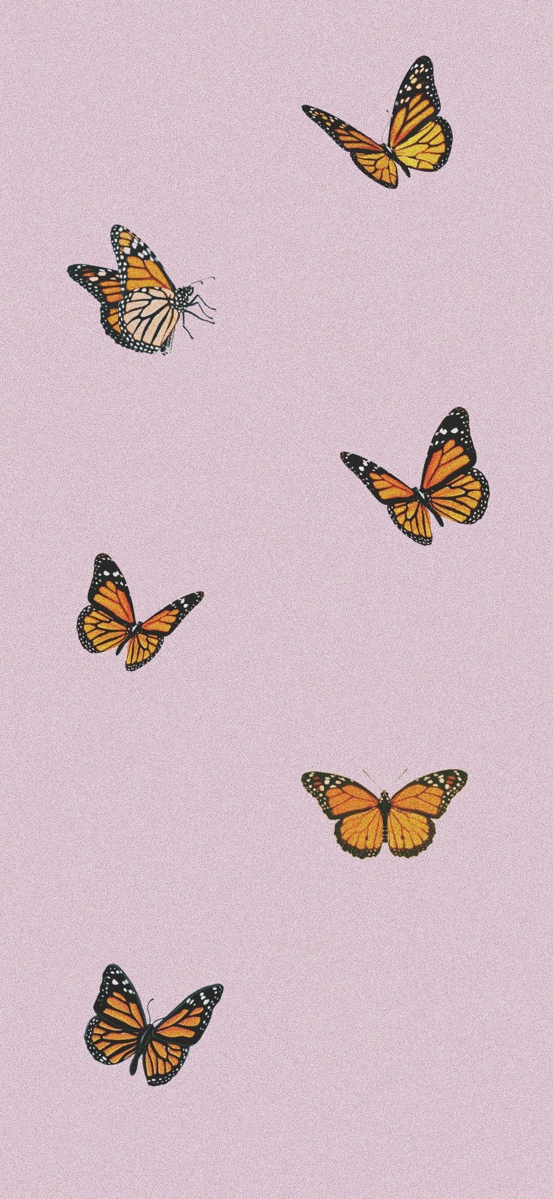 1080x2339 Pink Butterfly Wallpaper (best Pink Butterfly Wallpaper and image) on WallpaperChat