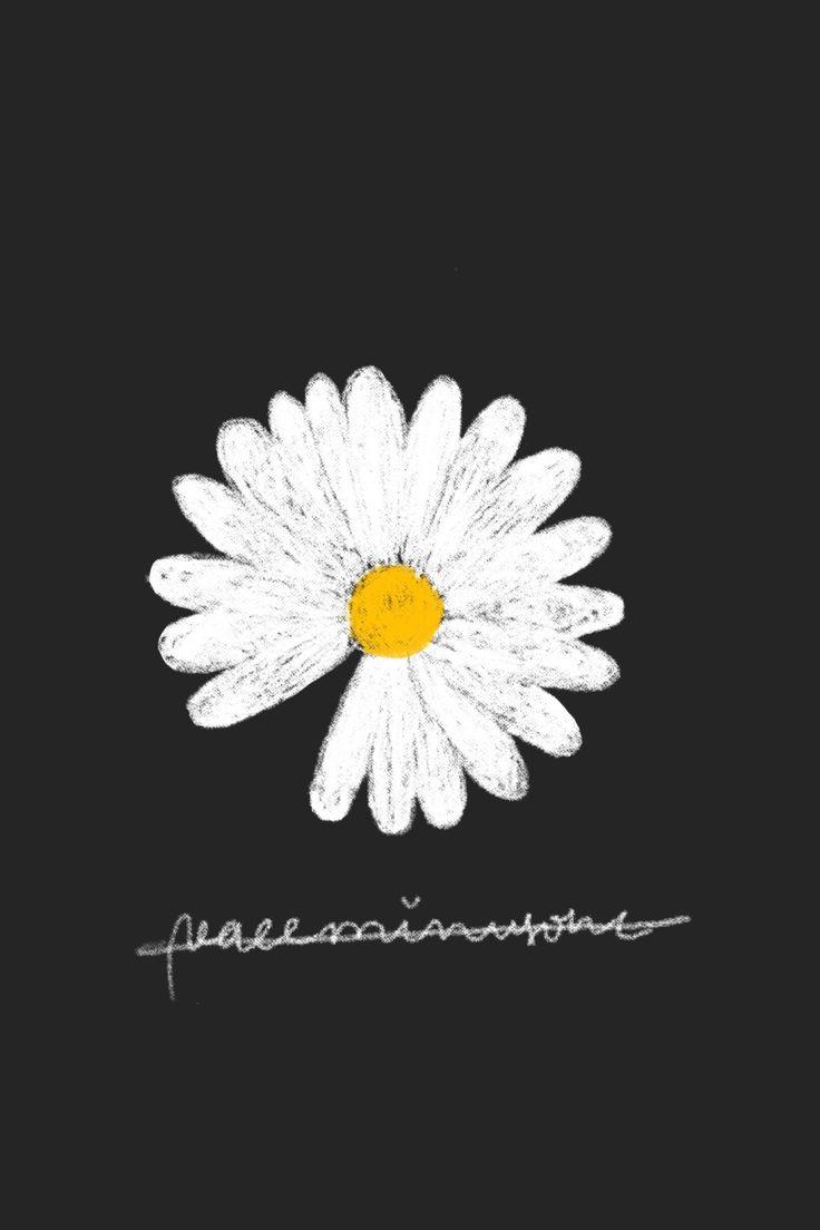 736x1104 Aesthetic Black Sunflower Wallpaper iPhone