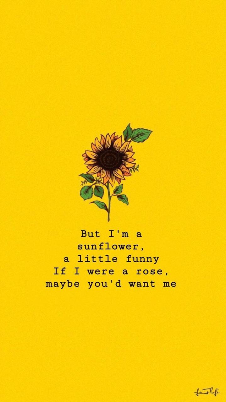 719x1280 Black Sunflower Wallpaper