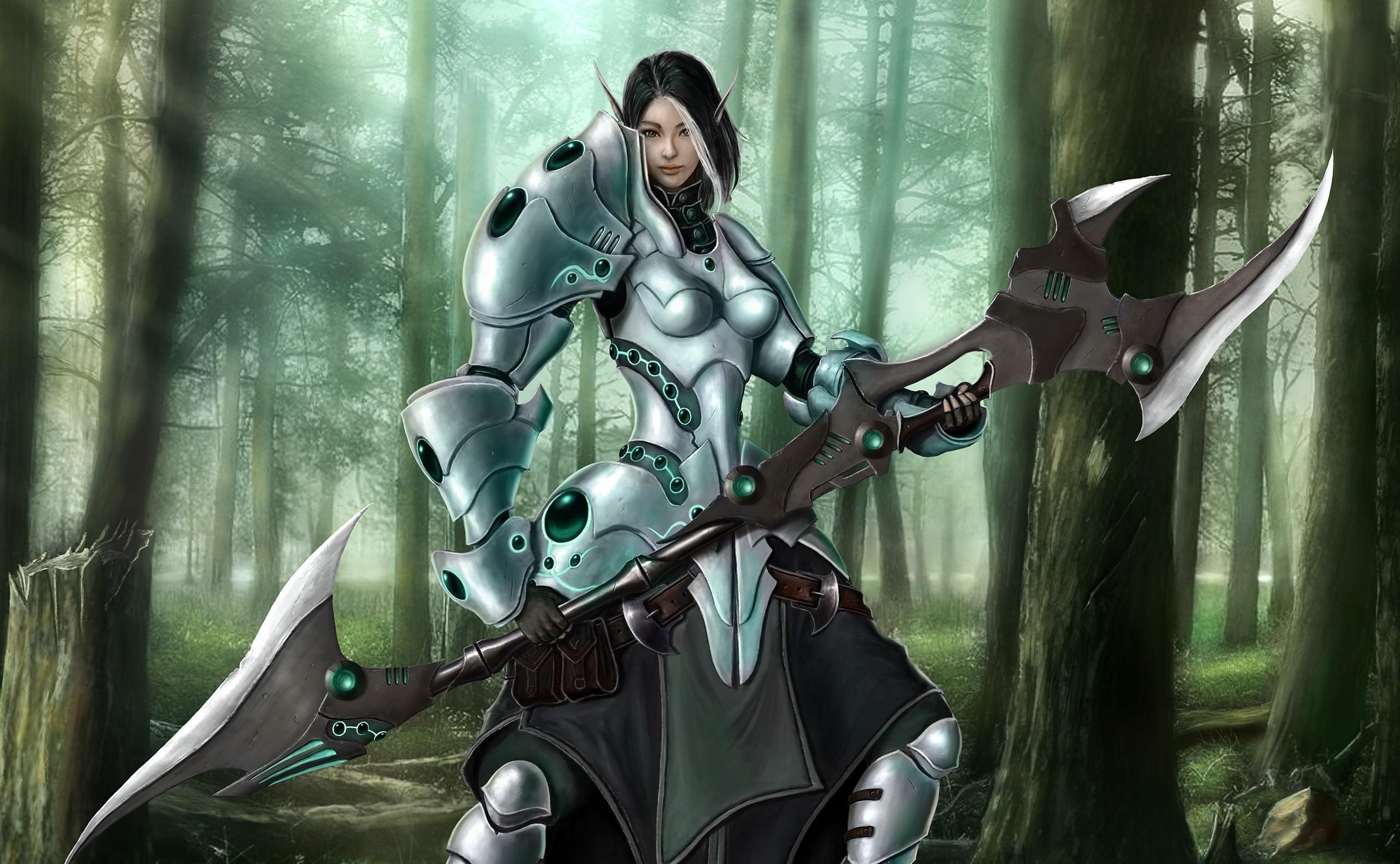 2560x1580 Girl, Elf, Warrior, Weapons, Armor, Forest wallpaper. Mocah HD Wallpaper