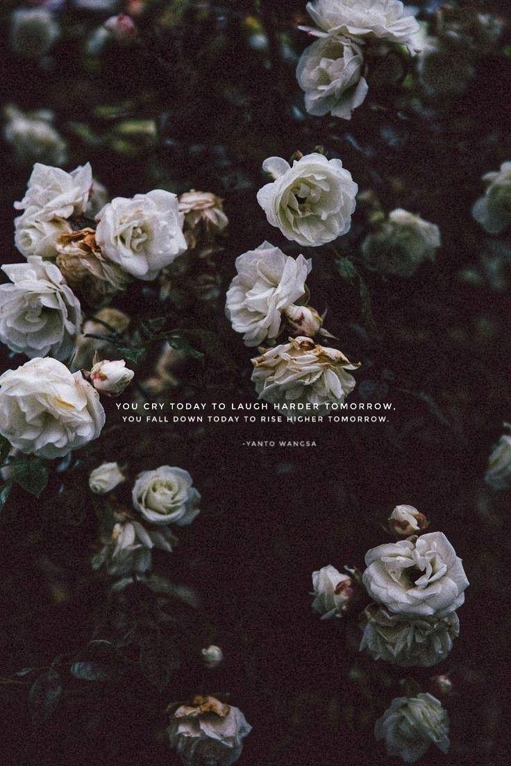 736x1104 Dark Vintage Flower Background