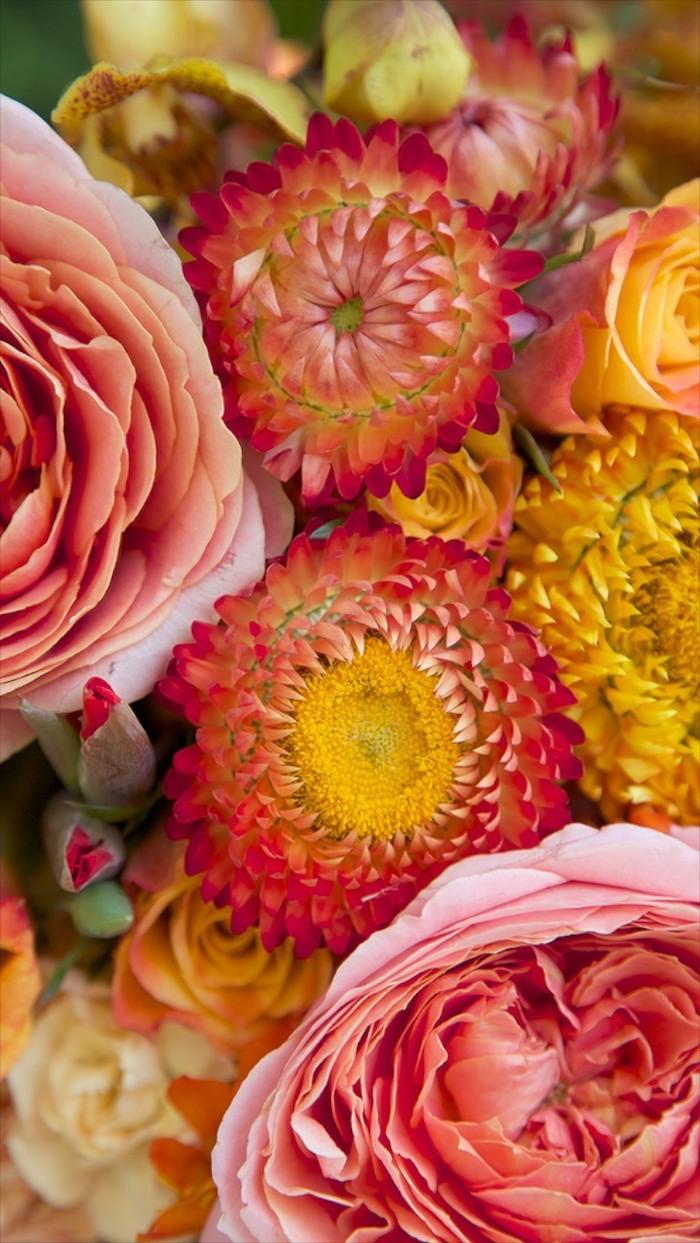 Pink Yellow Flower Wallpapers Top Free Pink Yellow Flower Backgrounds WallpaperAccess