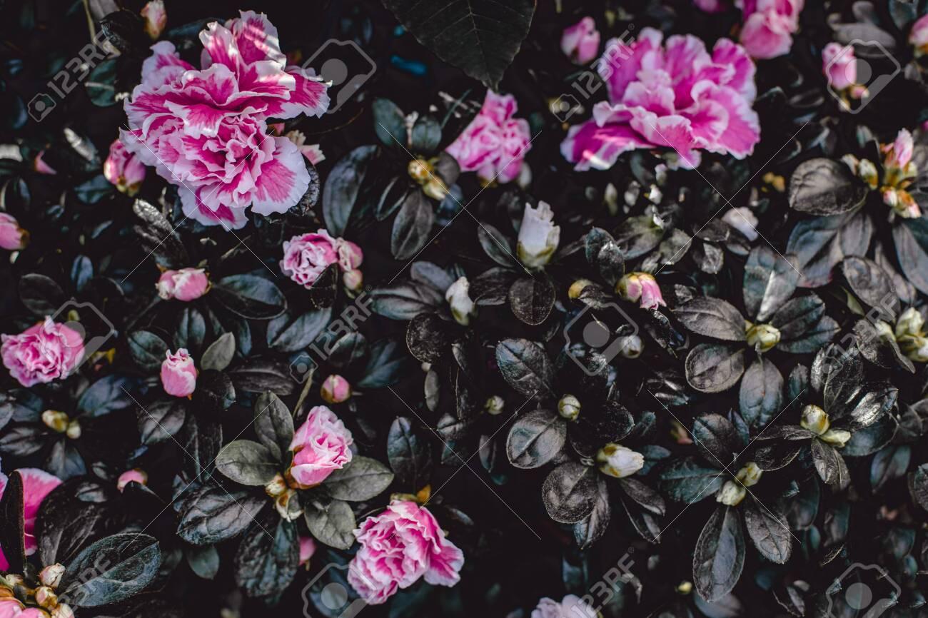 1300x866 Vintage Flowers Wallpaper