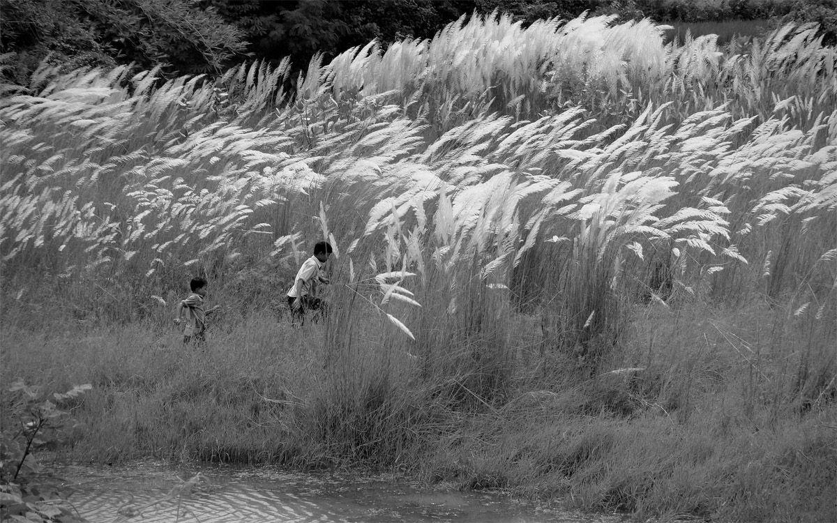 1200x750 ODE TO FILM. Pather panchali, Black and white photography, Photo