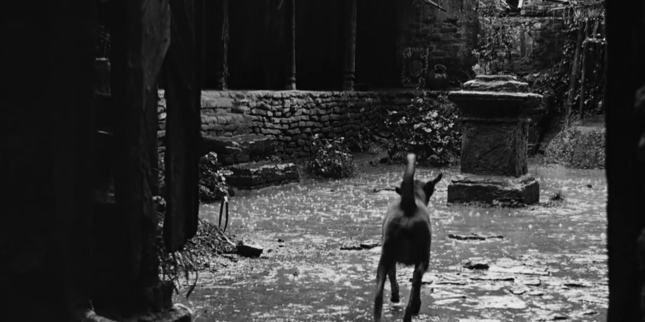 2160x1080 Pather Panchali (1955)