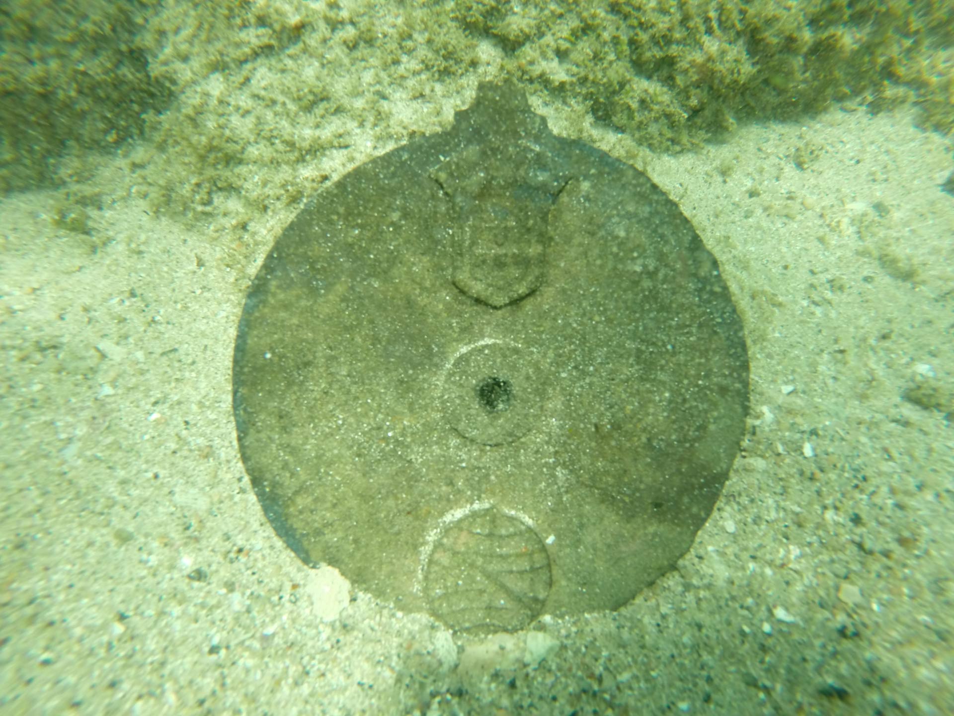 1920x1440 World's Oldest Mariner's Astrolabe Found. Archaeology. Sci