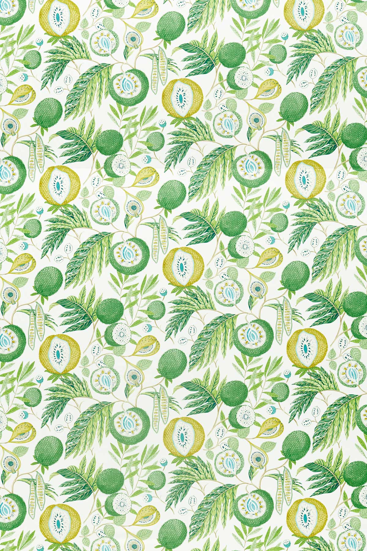 1200x1800 Jackfruit blinds by Sanderson Green : Wallpaper Direct