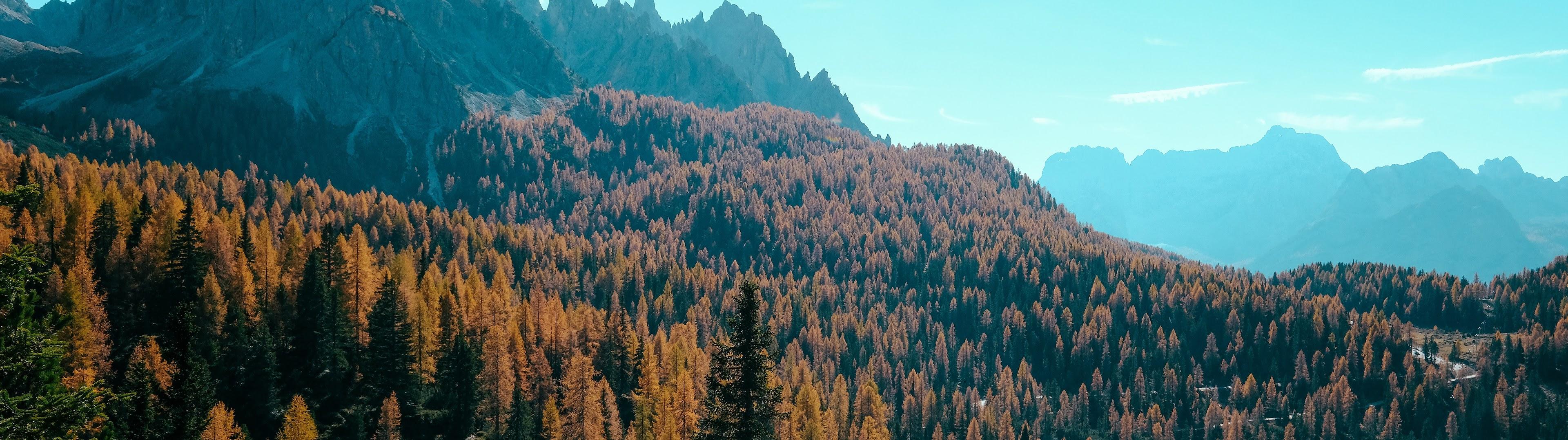 3840x1080 Forest Autumn Mountain Forest 8K Wallpaper