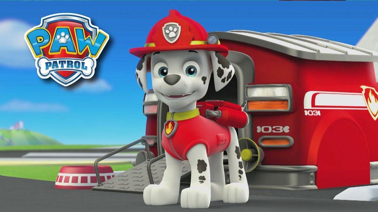 Marshall Paw Patrol Wallpapers - Top Free Marshall Paw Patrol Backgrounds -  WallpaperAccess