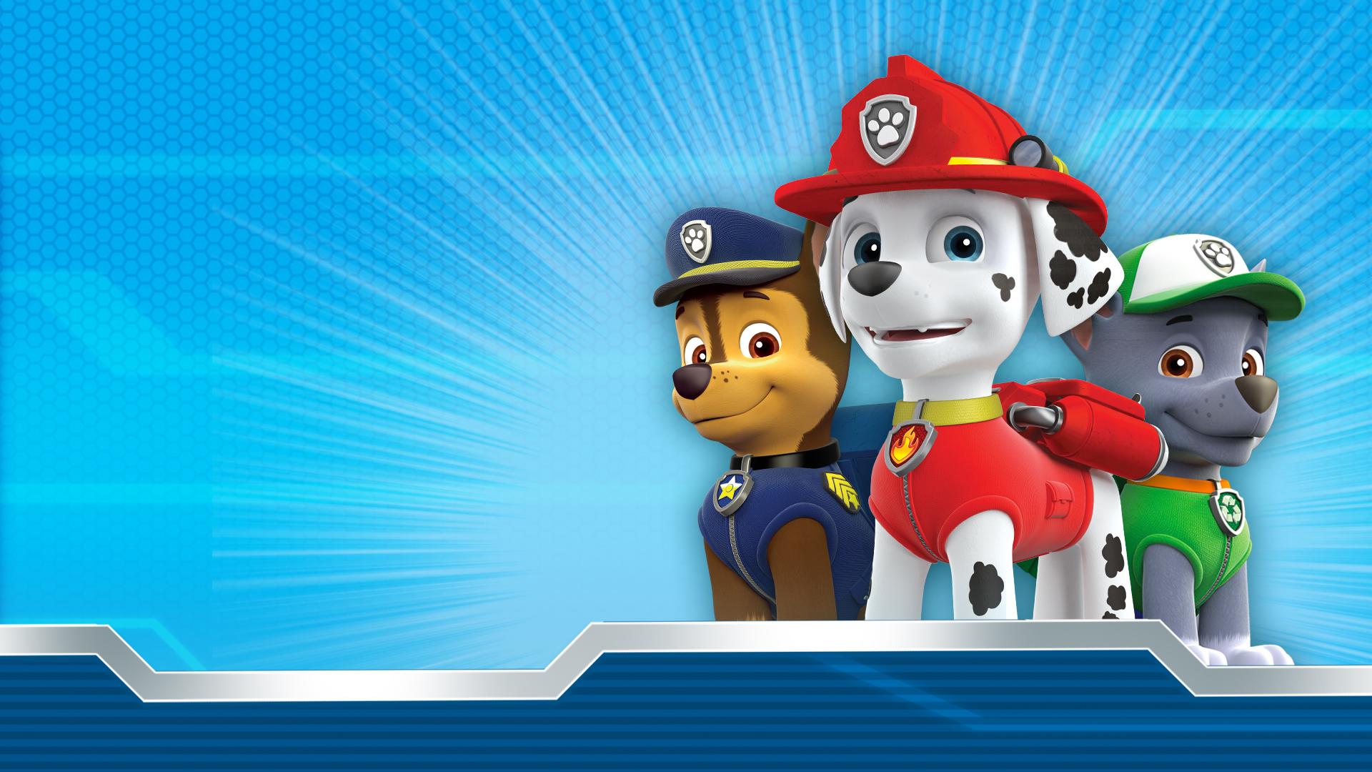 Marshall Paw Patrol Wallpapers Top Free Marshall Paw Patrol