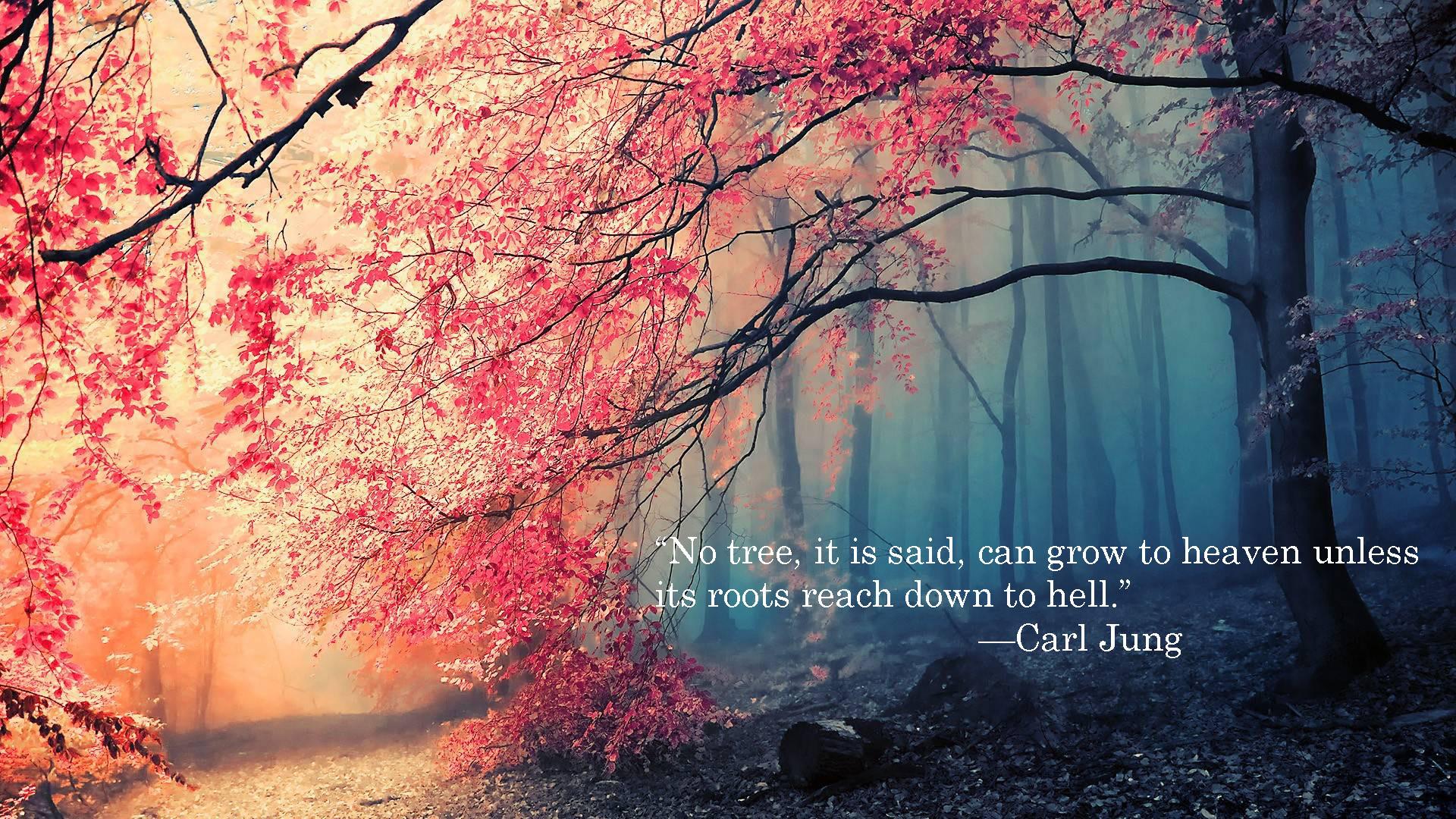 1920x1080 No tree, it is said.-Carl Jung[1920x1080]: QuotesPorn