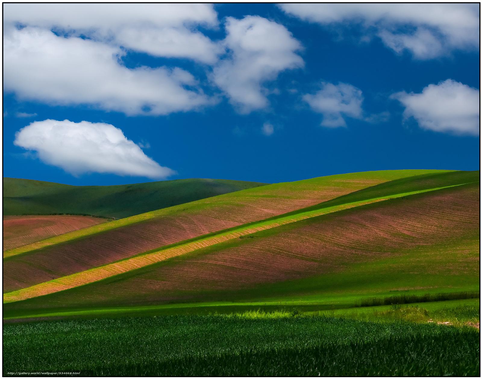 Rolling hills. Холмы виндовс. Холм из Windows XP. Рабочий стол Windows холмы. Холм из виндовс хр.