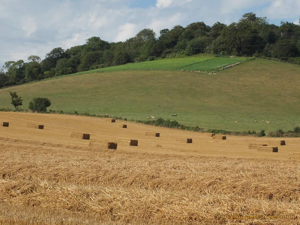 1024x768 Hay On Rolling Hills