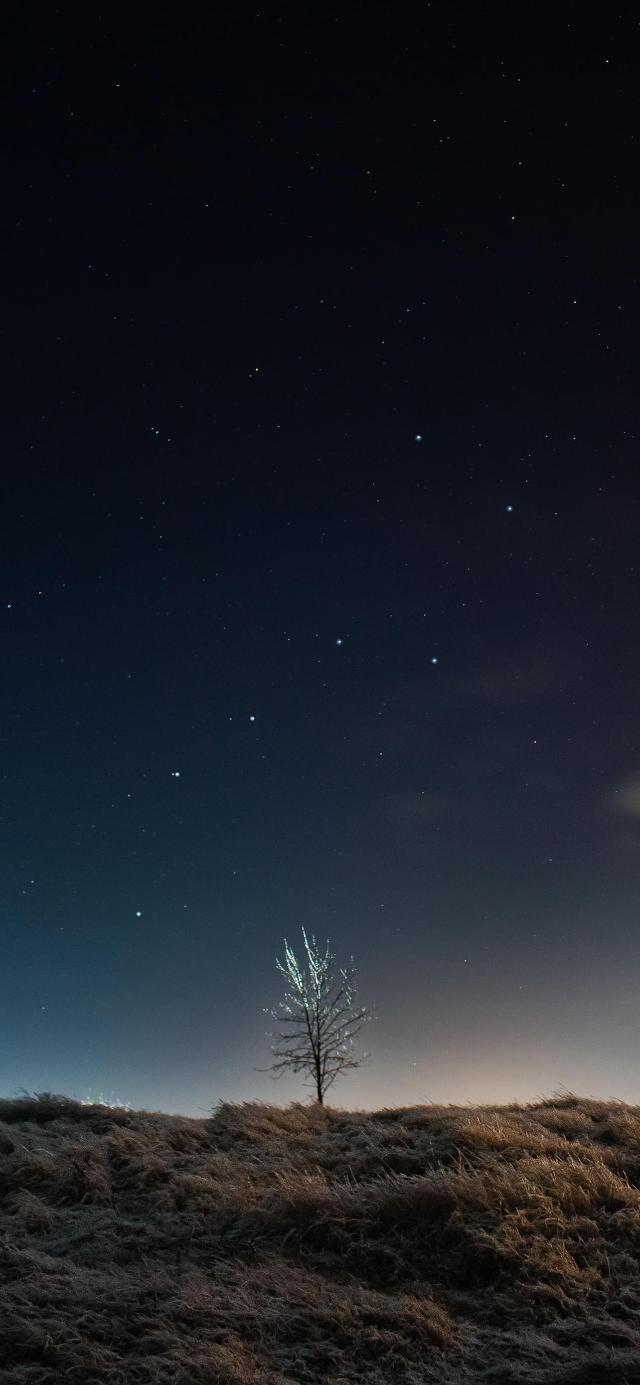 1284x2778 Best iPhone 12 Pro Max Wallpaper 2021