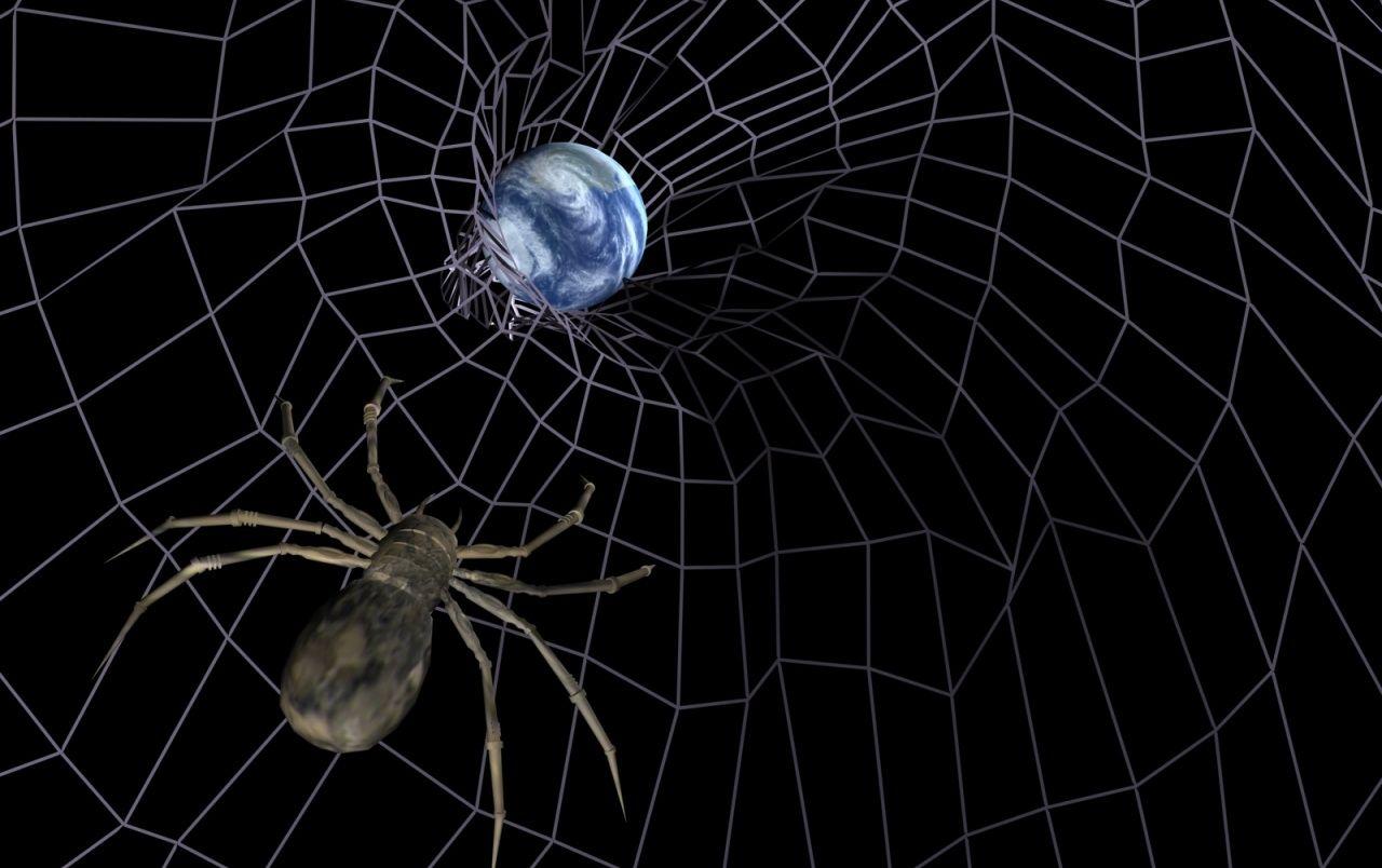 1280x804 Moving Spider Wallpaper Group Picture