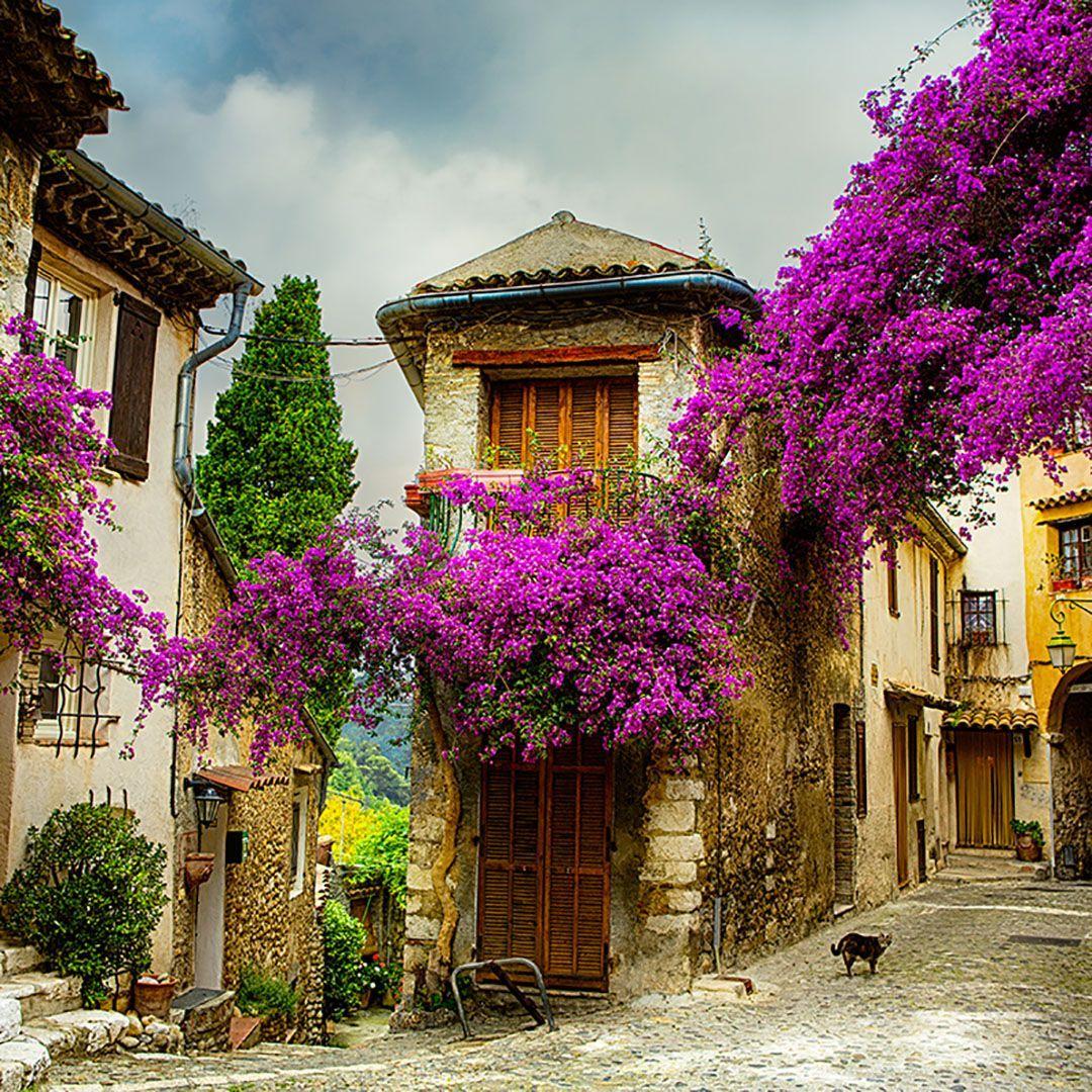 1080x1080 Practice saying: “I'm vacationing in the south of France this year