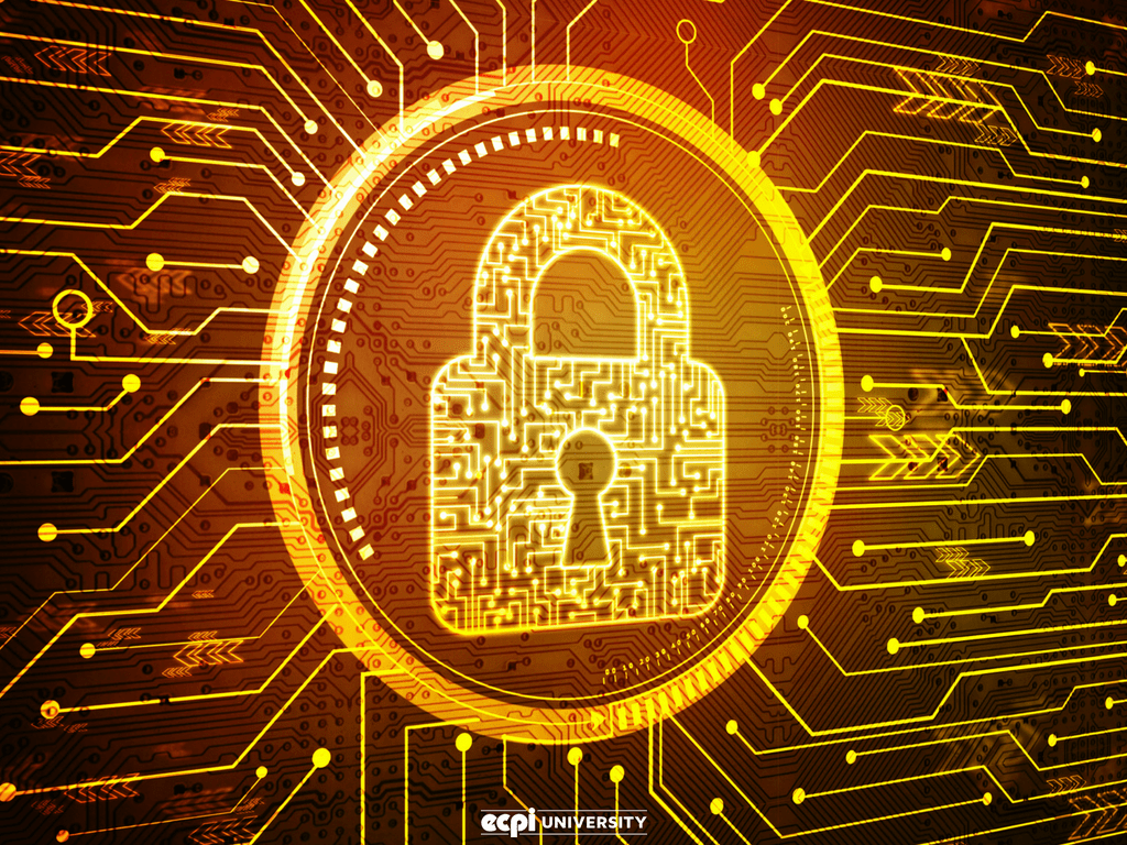 1024x768 Interested in moving your career forward, but not sure when is the right time? Here are some key ways you can. Cyber security, Web security, Cyber security course