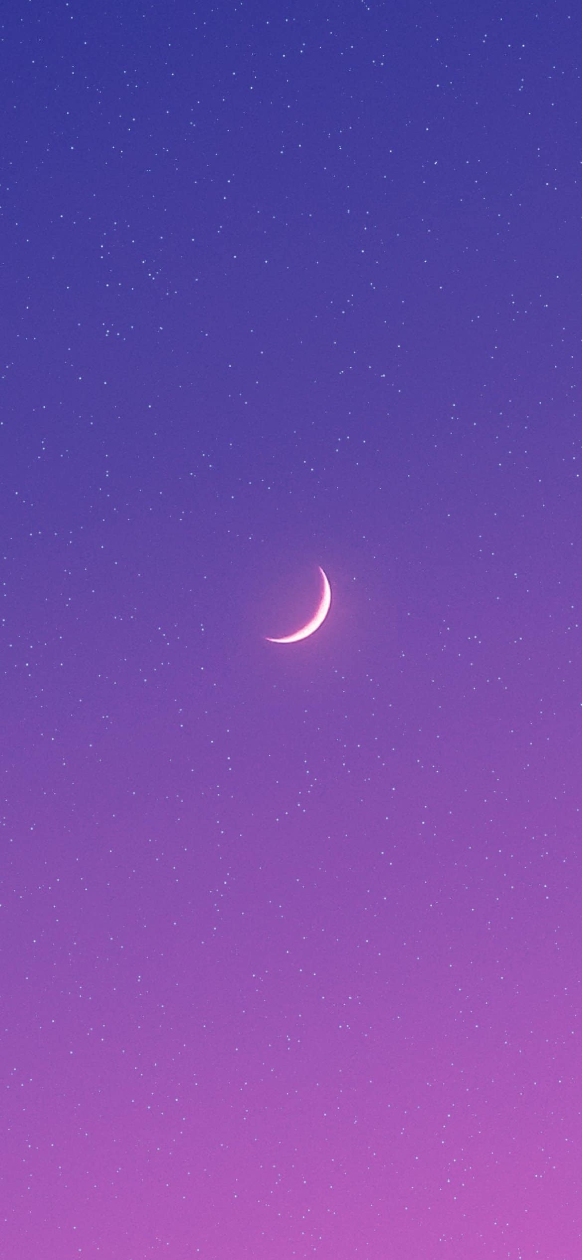 Purple Wallpaper Pictures  Download Free Images on Unsplash