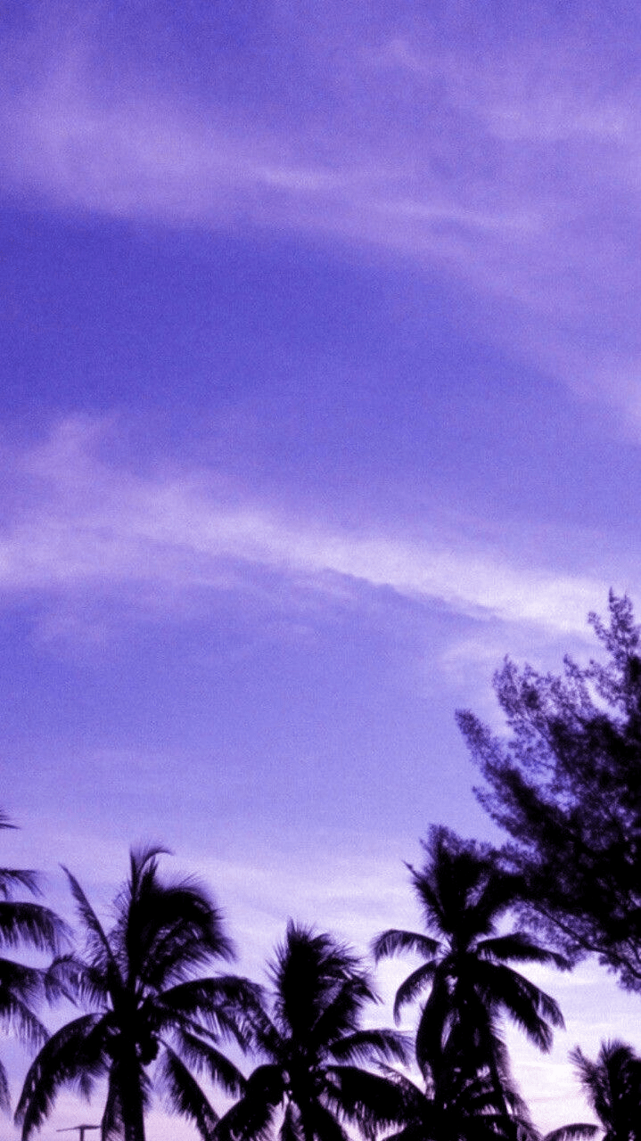 719x1280 Aesthetic Lavender Color Aesthetic Purple Sky Wallpaper Free Mock Up
