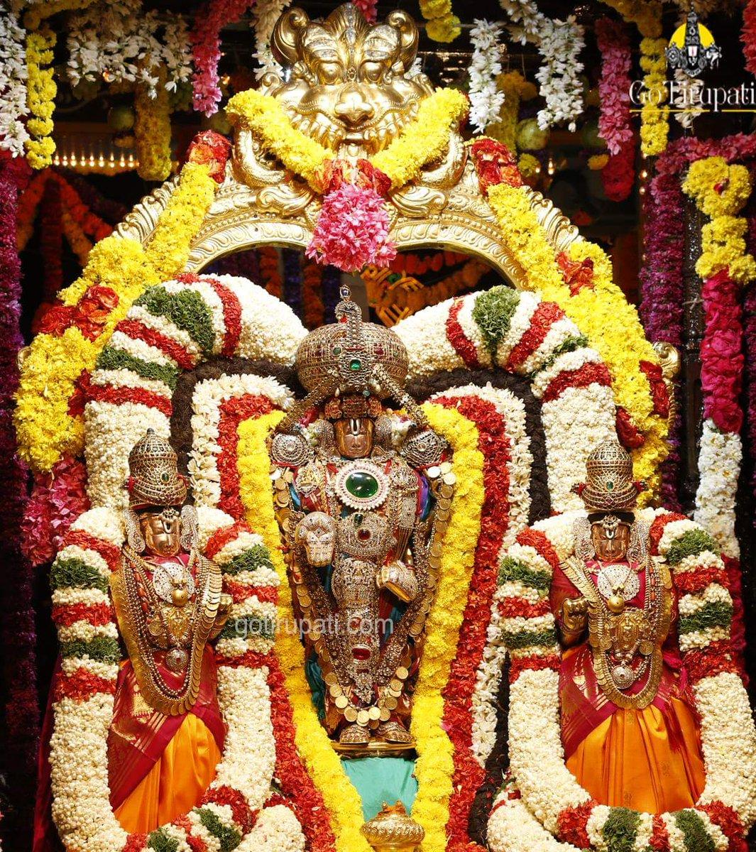 1065x1200 Bhudevi Sridevi With Lord Venkateswara Swamy