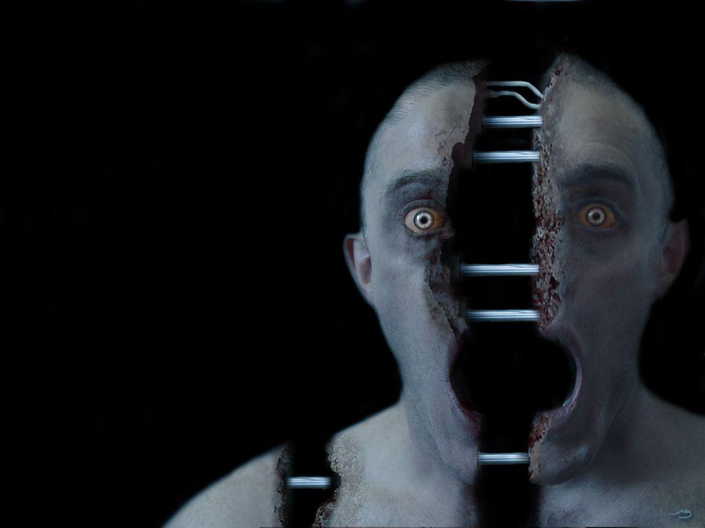 1024x768 Psychosis Wallpaper