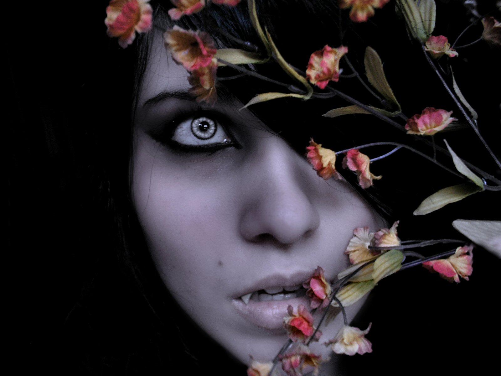 1600x1200 Vampire Wallpaper 12184 1600x1200px