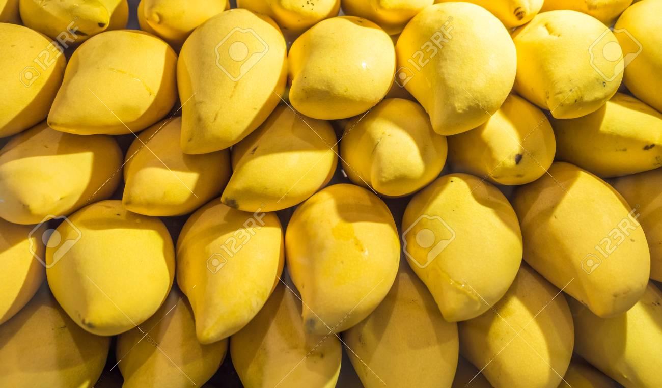 1300x762 Free download Yellow Mango Background Or Wallpaper Bunch Of Tropical Fruits [1300x762] for your Desktop, Mobile & Tablet. Explore Mango Background. Mango Background, Mango Wallpaper
