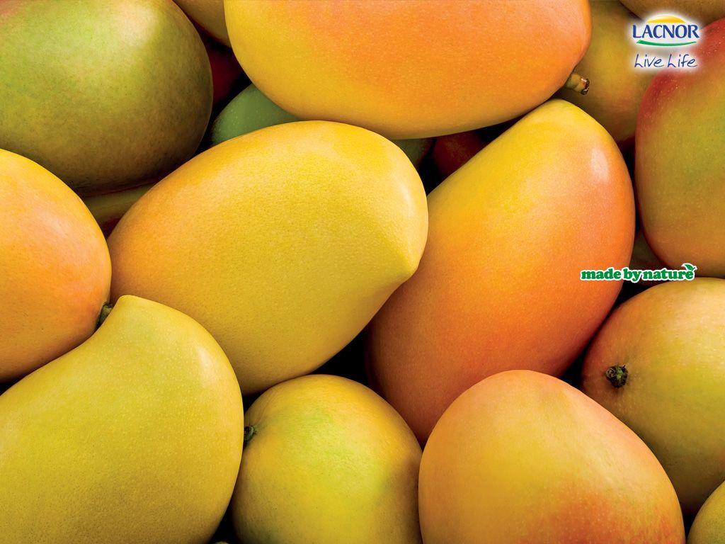 1024x768 Alphonso Mango Wallpaper