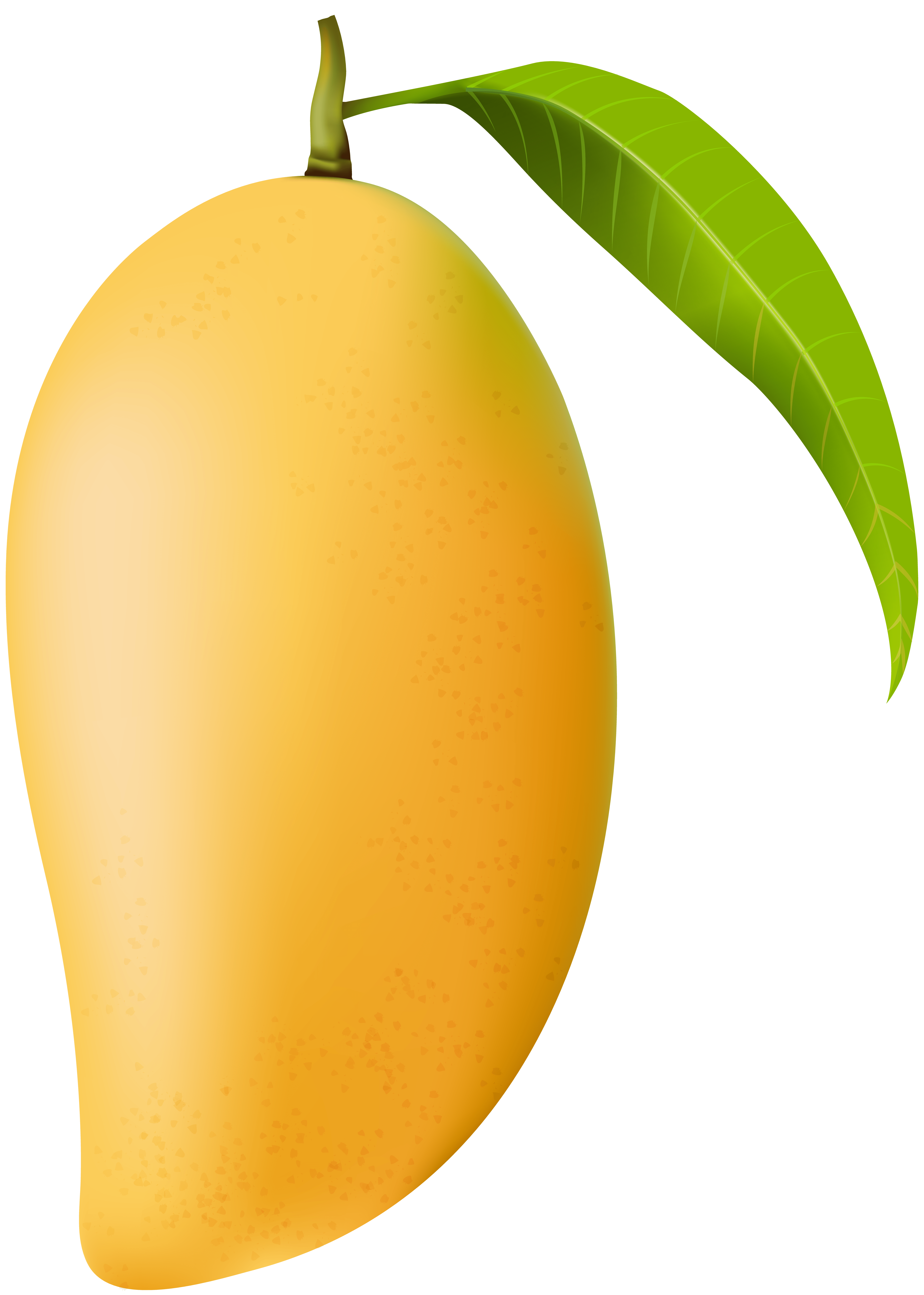 5710x8000 Mango PNG Clip Art Image​-Quality Image and Transparent PNG Free Clipart