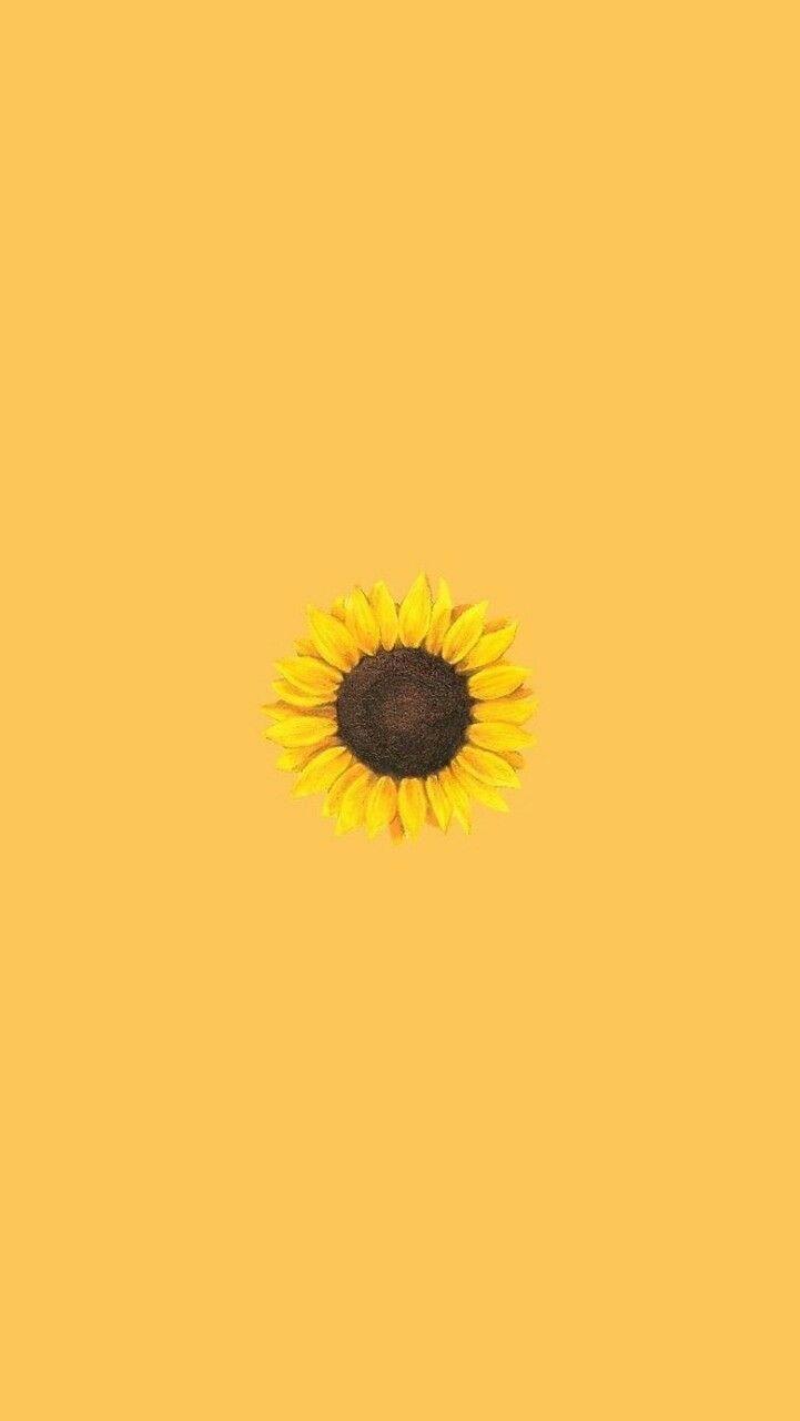 721x1280 Vintage Aesthetic Wallpaper Yellow Cute