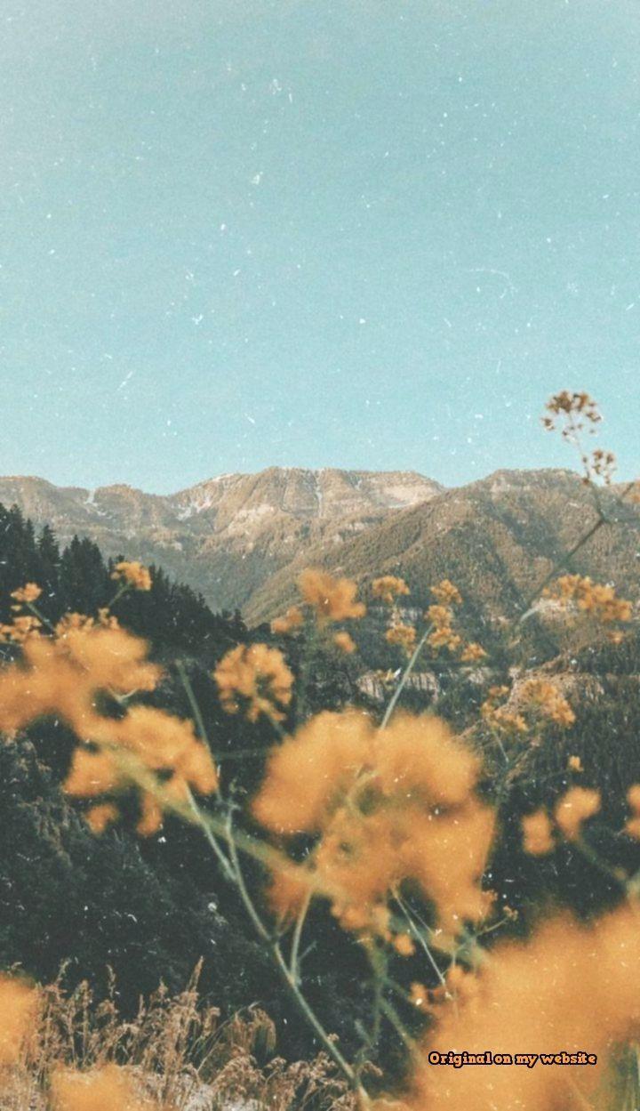 720x1249 Vintage Aesthetic Wallpaper, HD Vintage Aesthetic Background on WallpaperBat