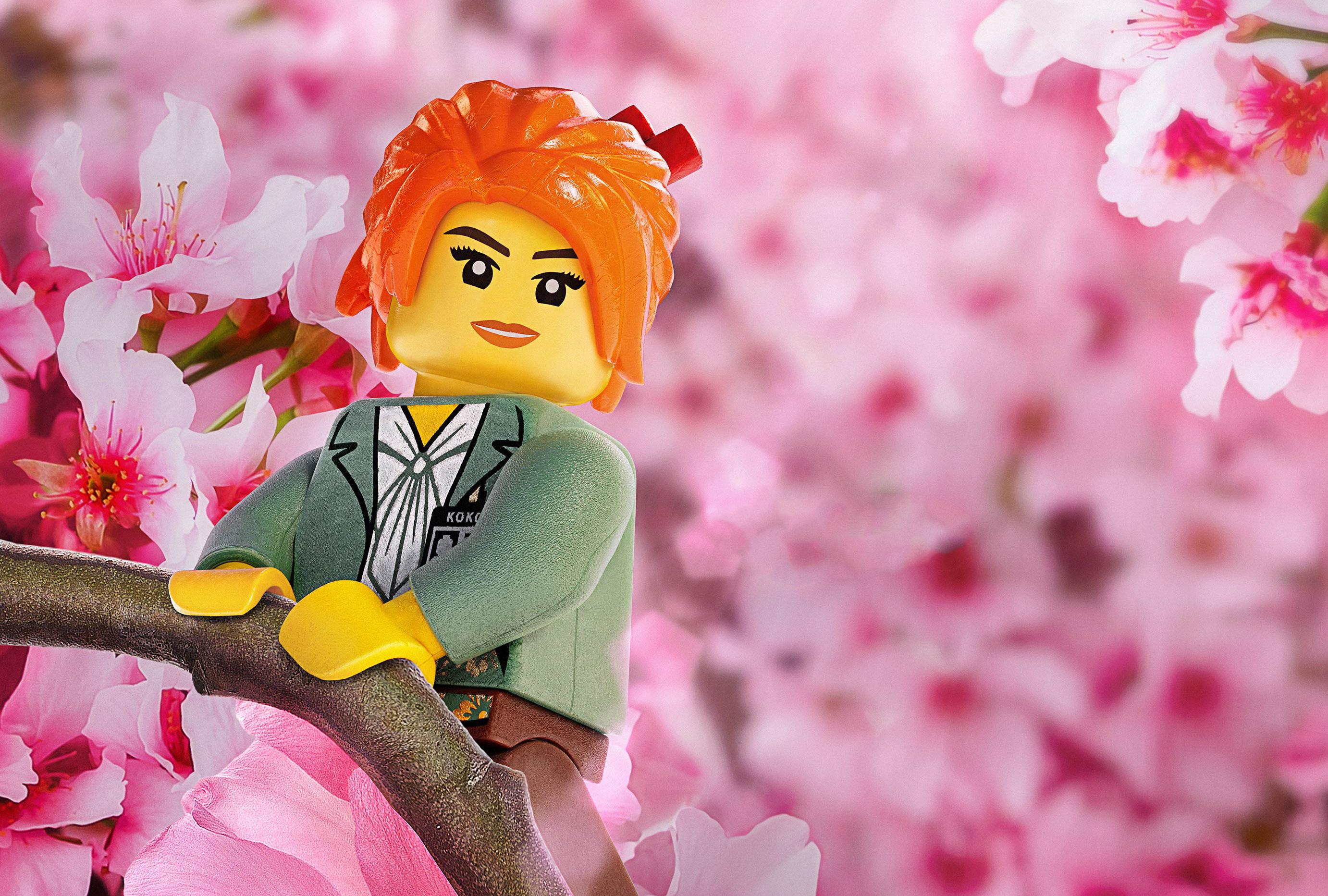 2764x1865 MISAKO The LEGO Ninjago Movie, HD Movies, 4k Wallpaper, Image, Background, Photo and Picture